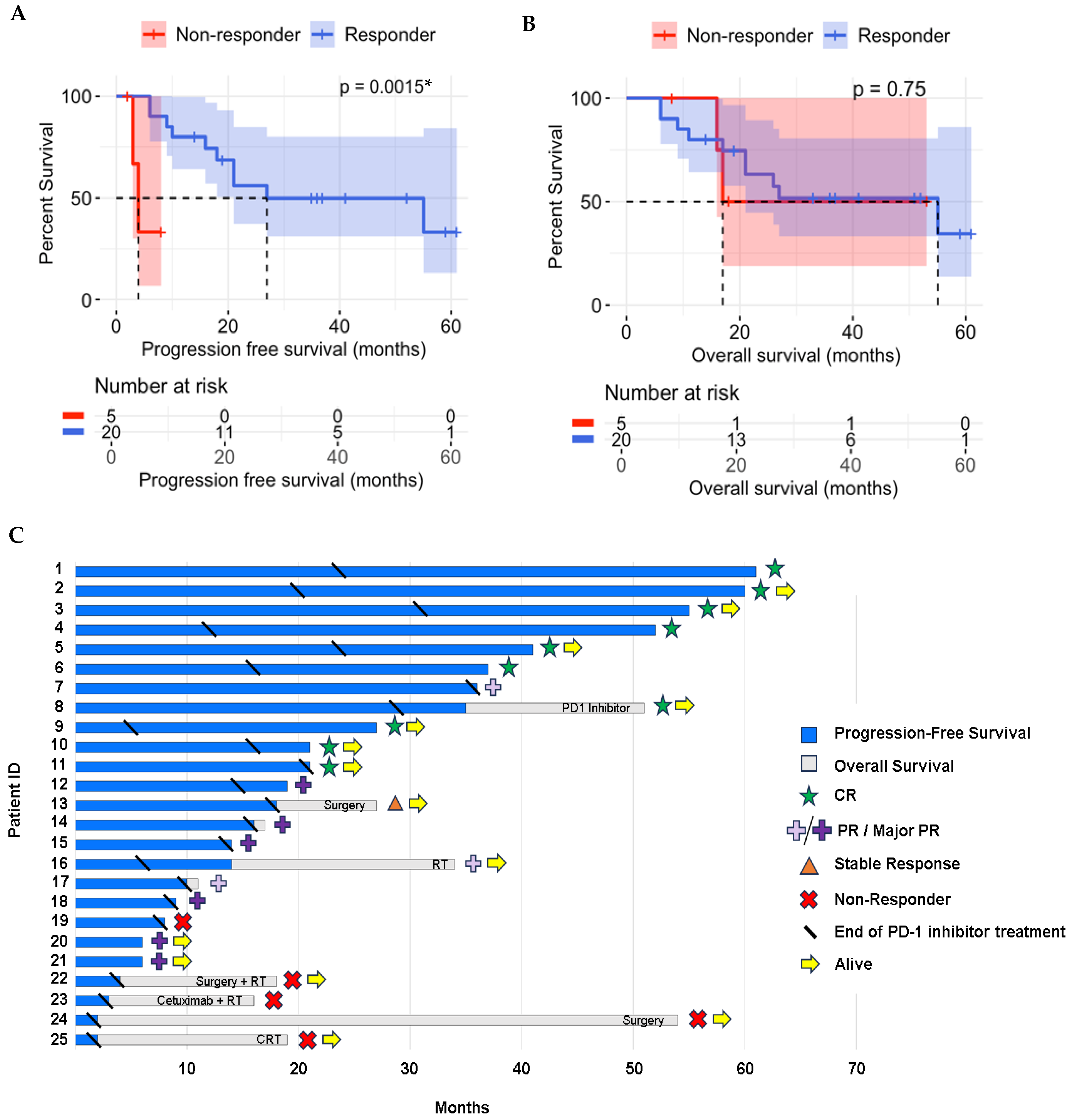 Cancers 17 01172 g001