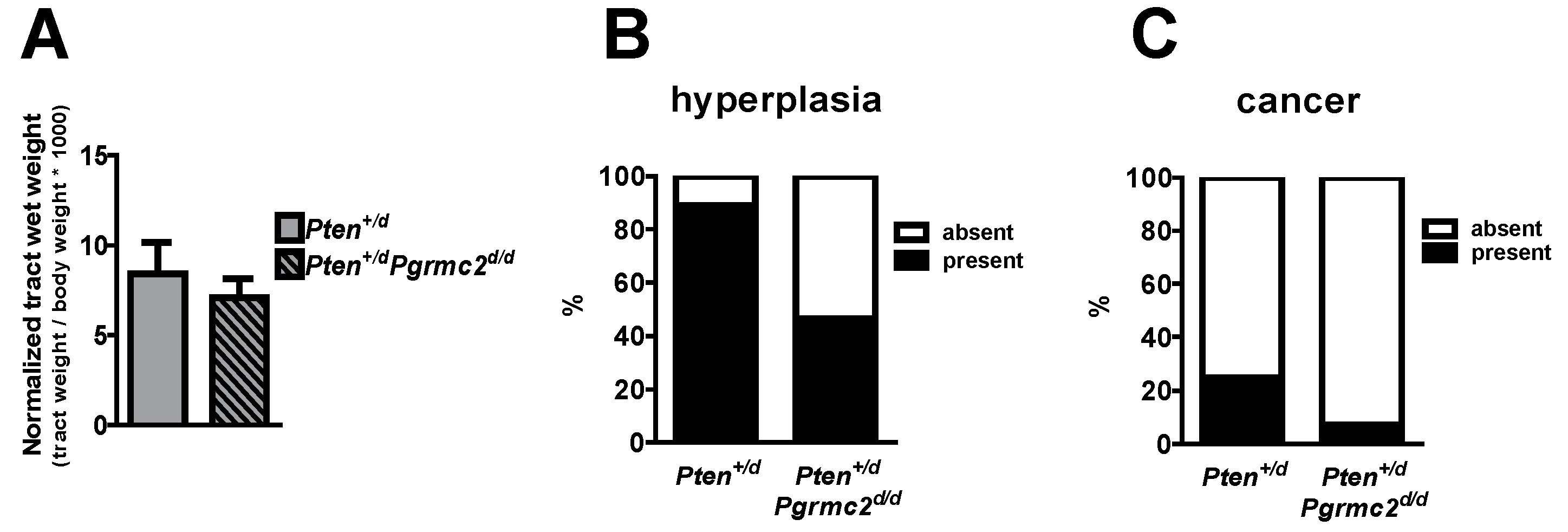 Cancers 17 01178 g003 Cancers 17 01178 g003