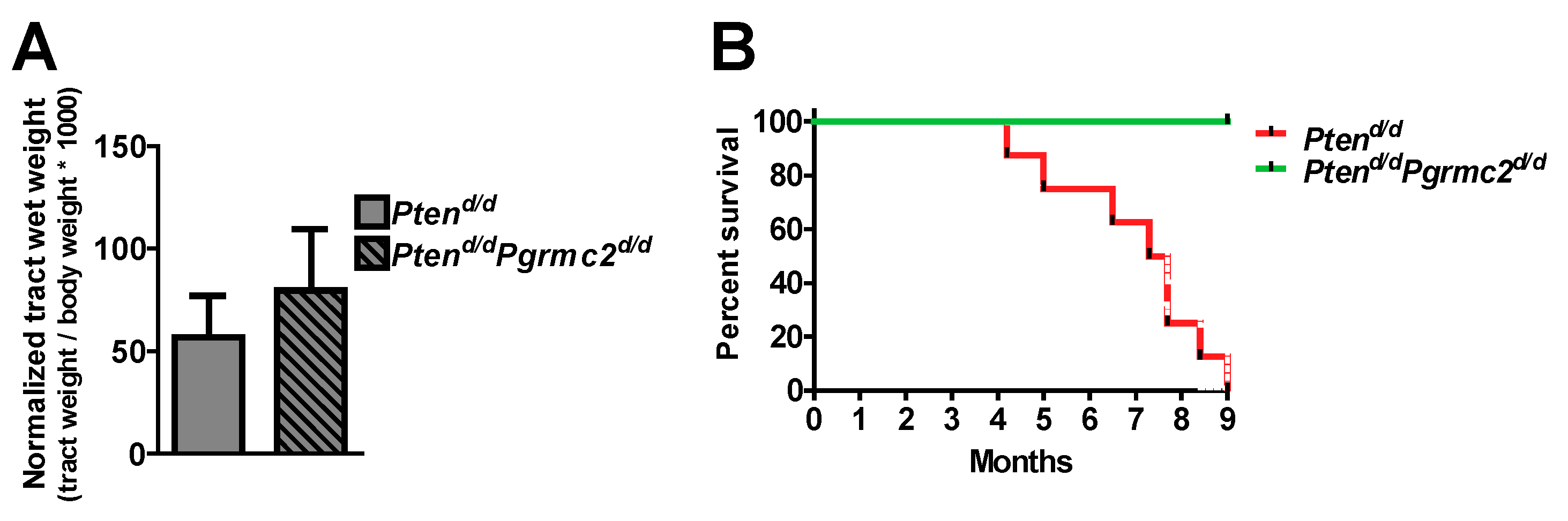 Cancers 17 01178 g004 Cancers 17 01178 g004