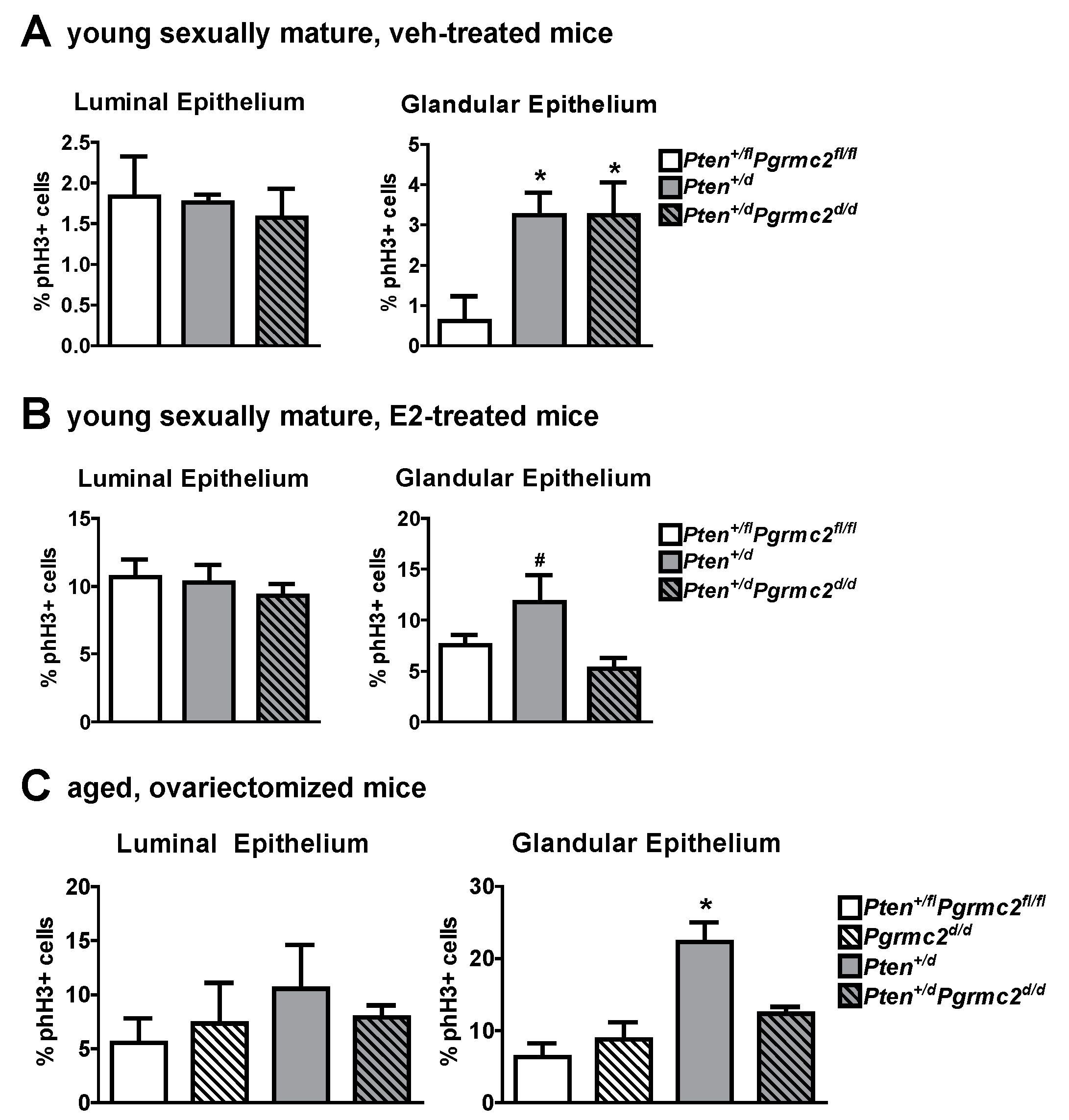 Cancers 17 01178 g006 Cancers 17 01178 g006