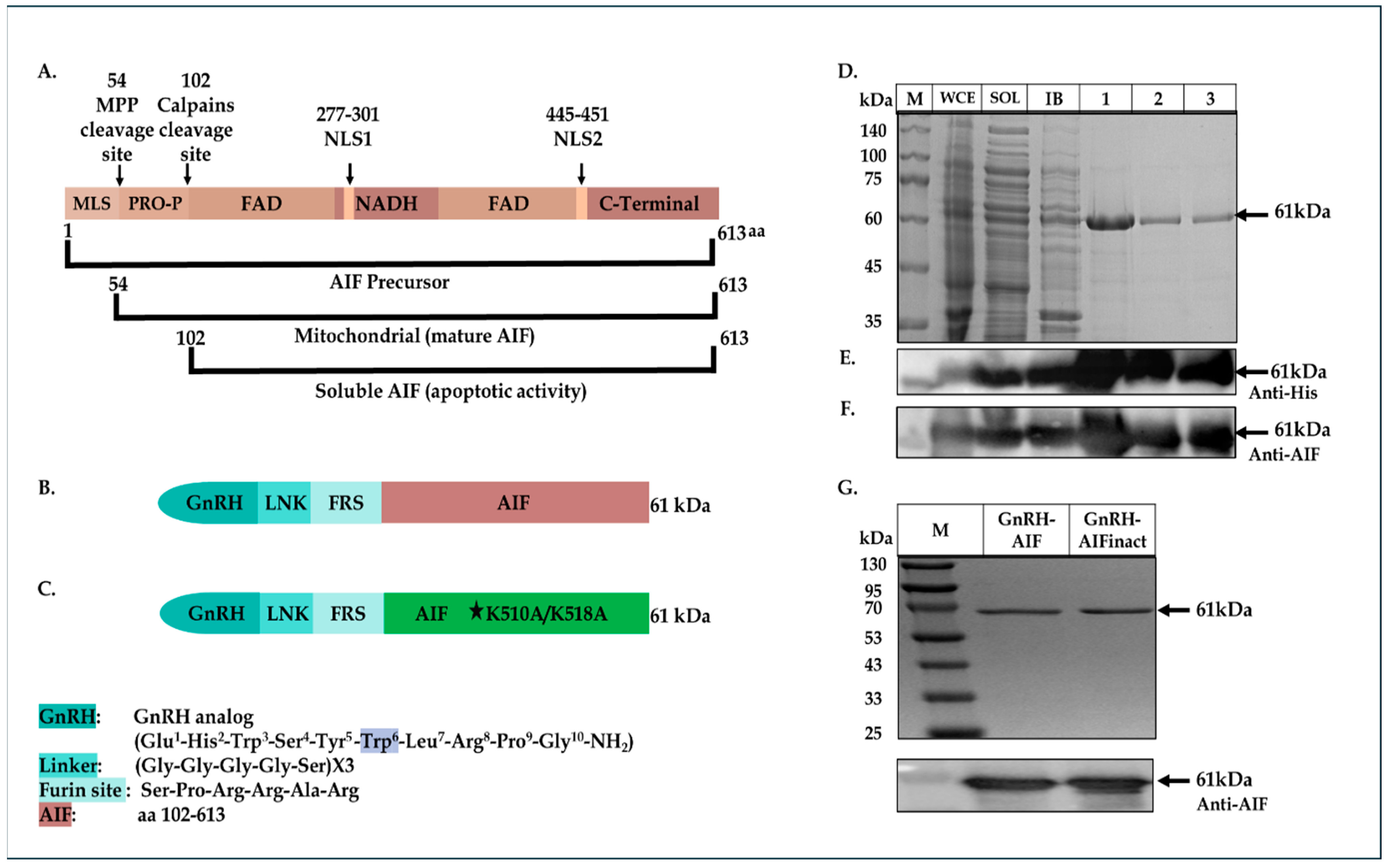 Cancers 17 01179 g001