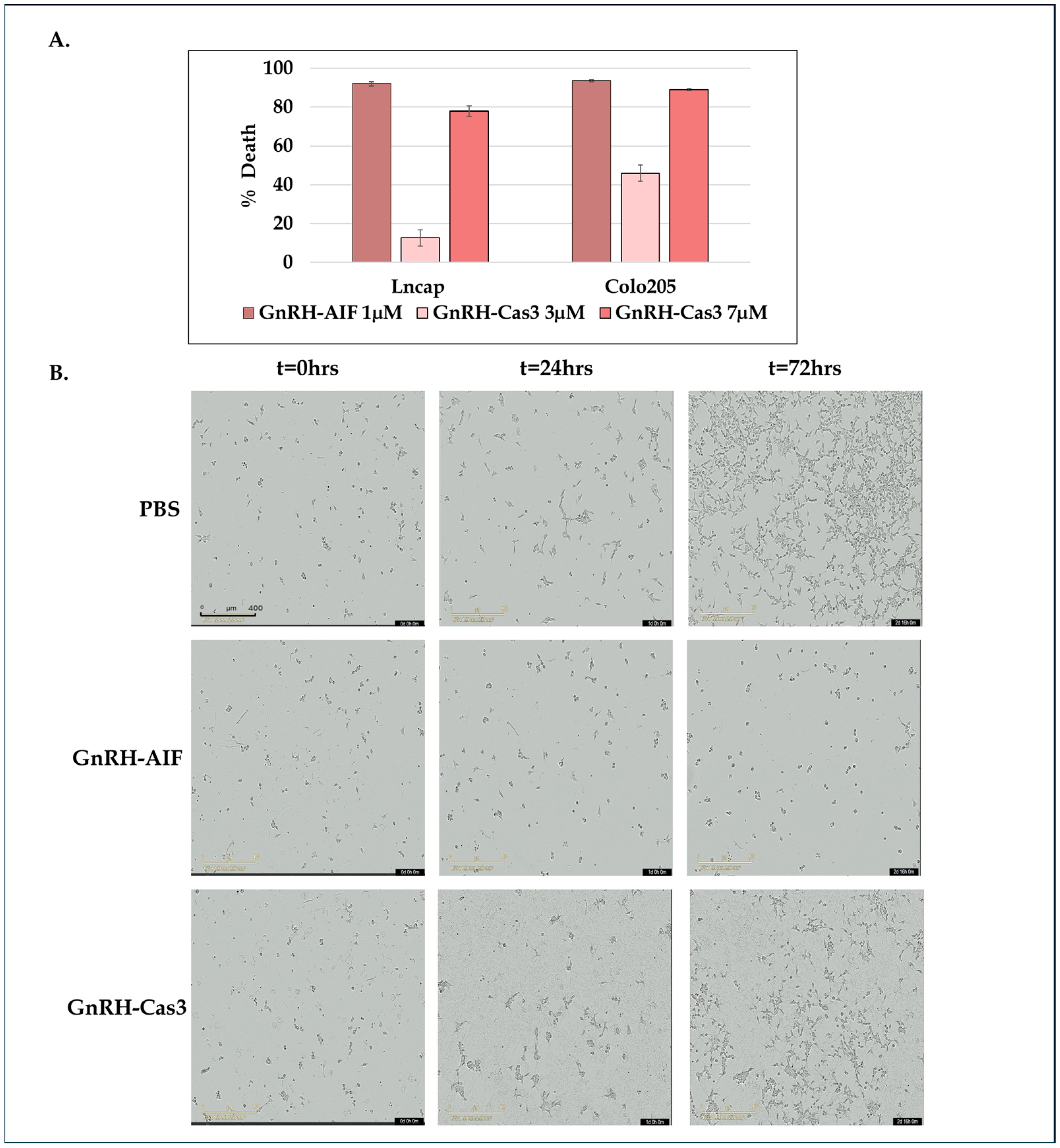 Cancers 17 01179 g003