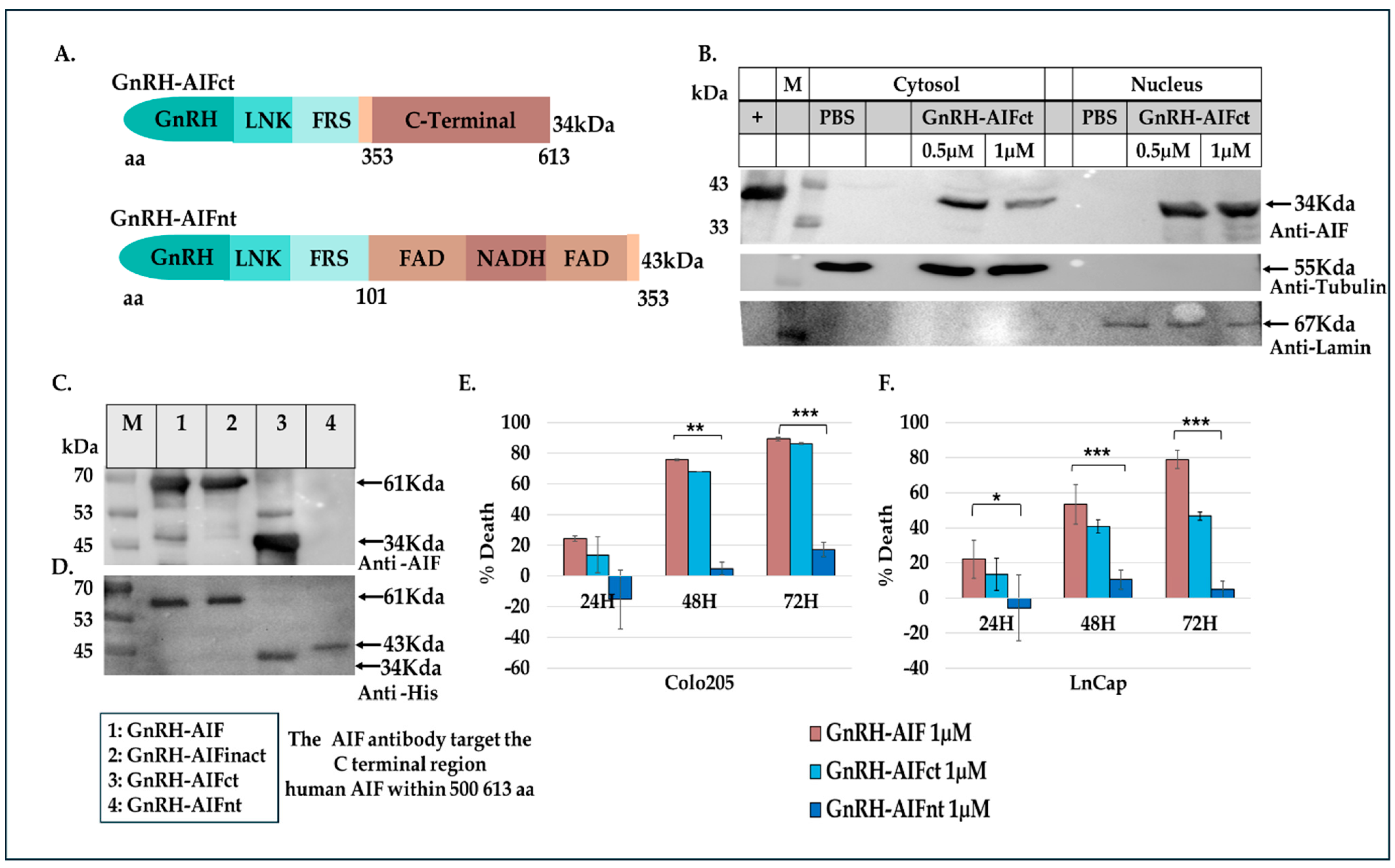 Cancers 17 01179 g005