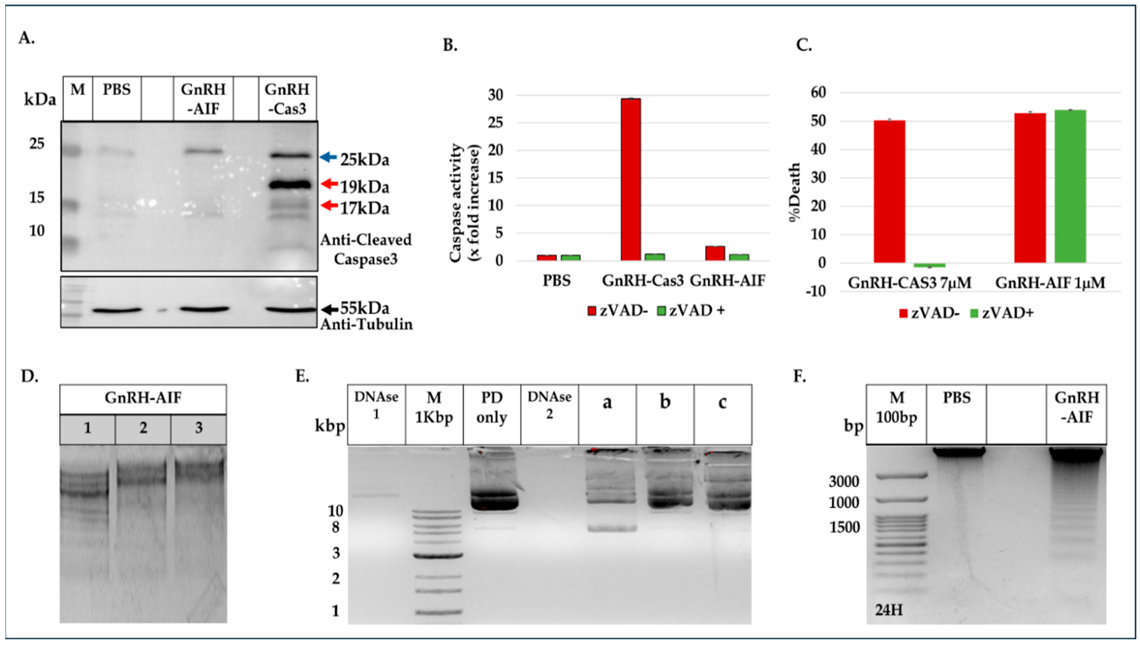 Cancers 17 01179 g007