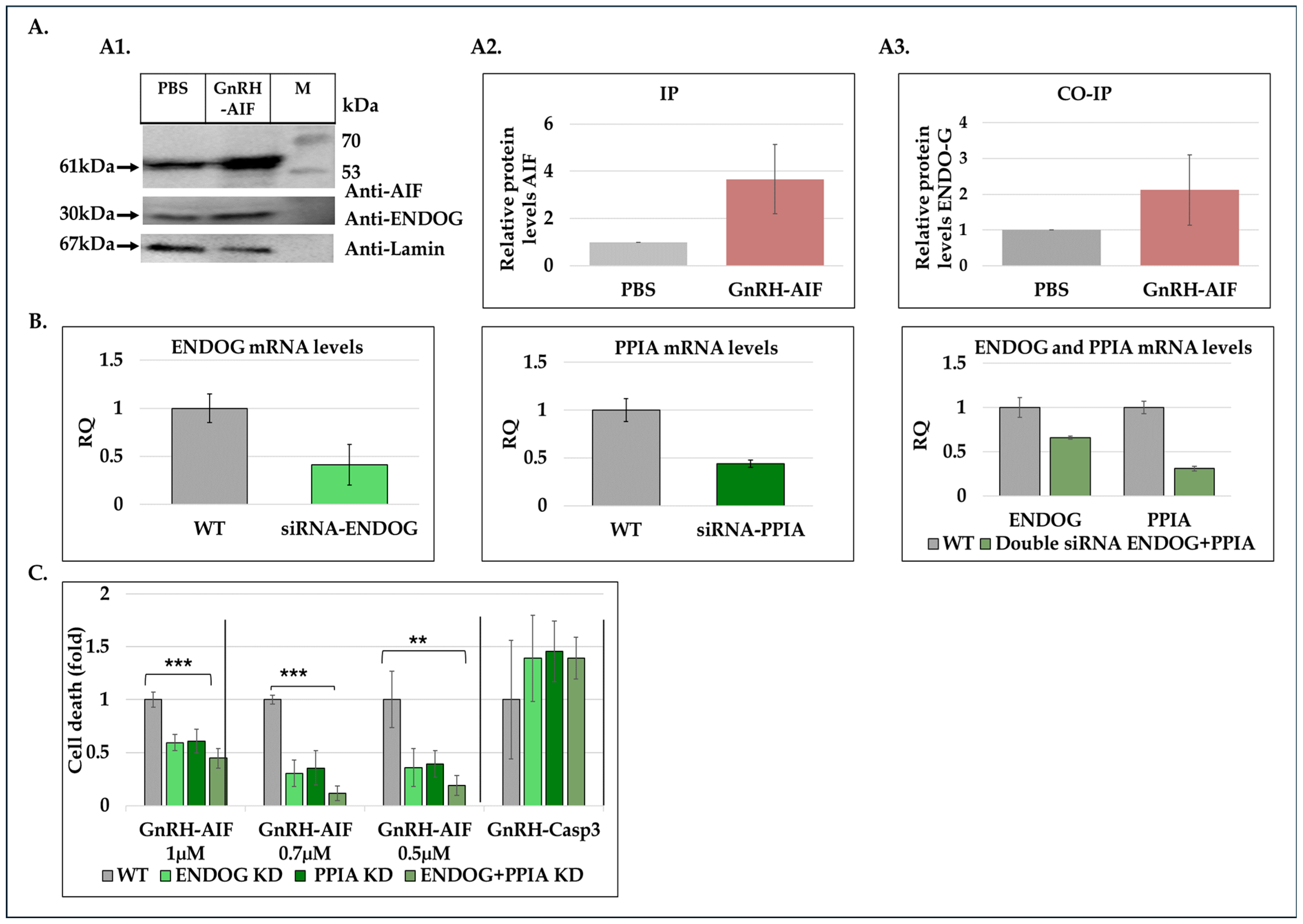 Cancers 17 01179 g008