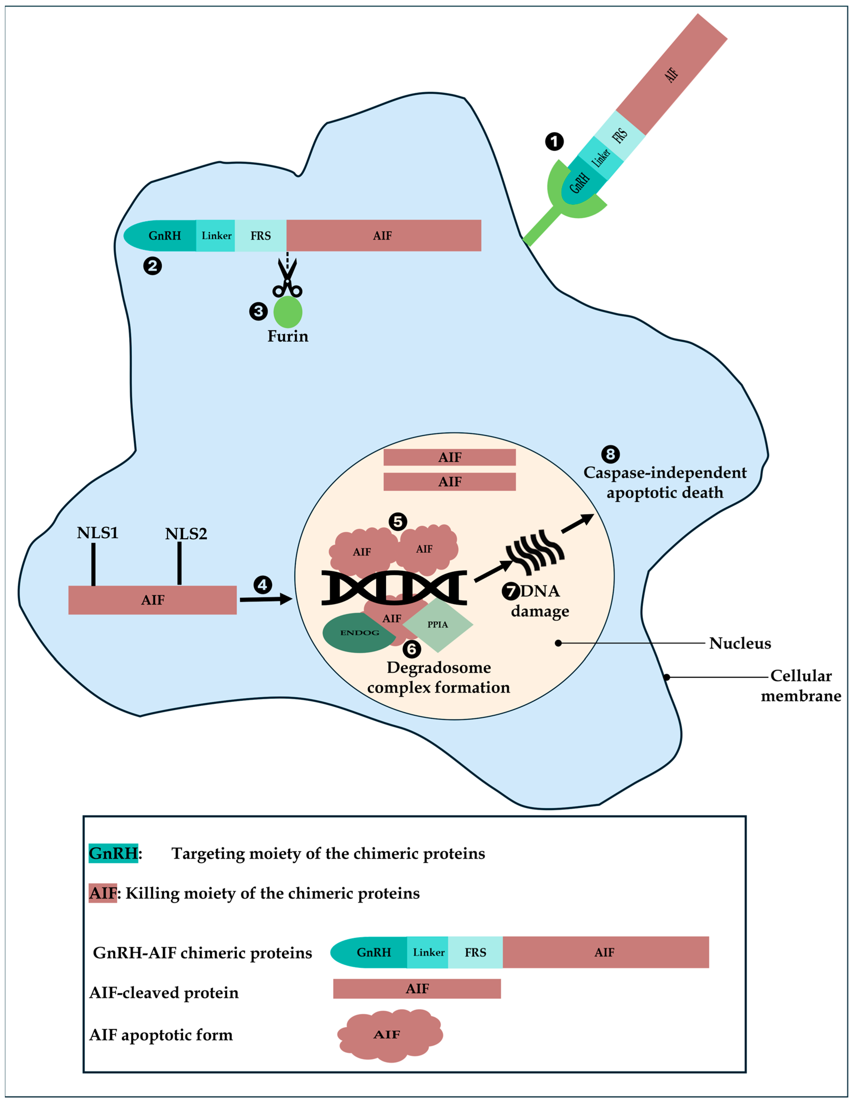 Cancers 17 01179 g010