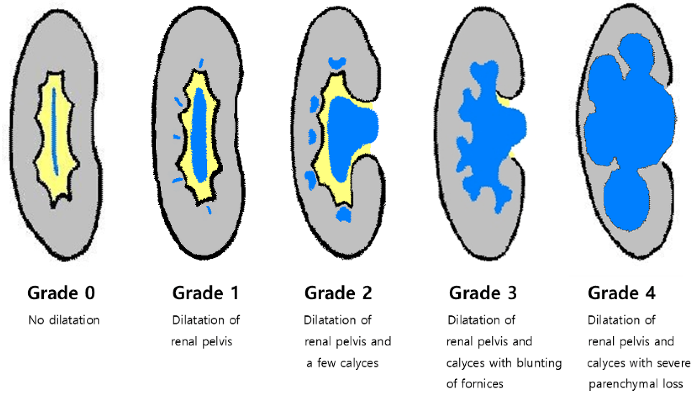 Cancers 17 01180 g001