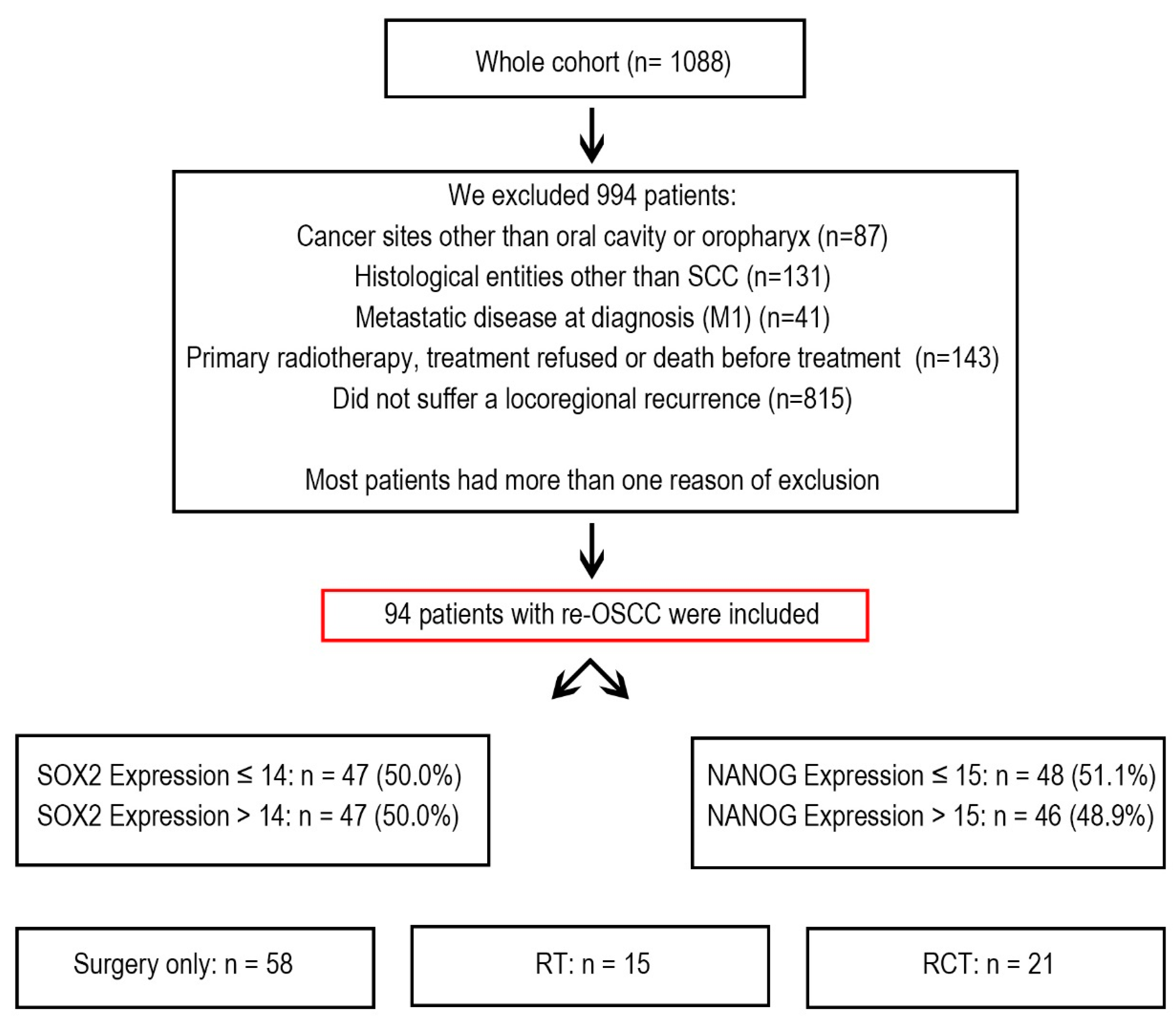 Cancers 17 01181 g001