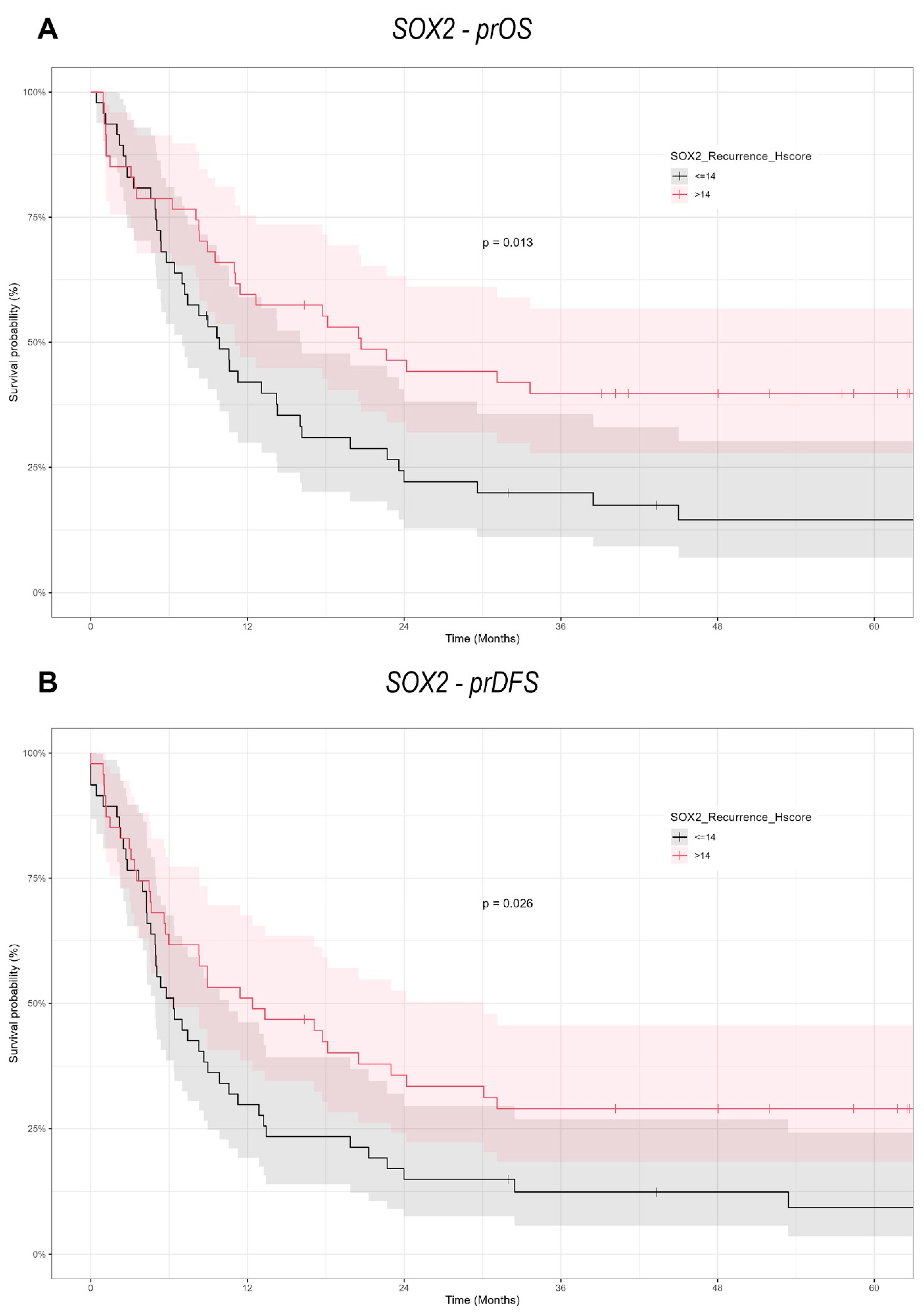 Cancers 17 01181 g005