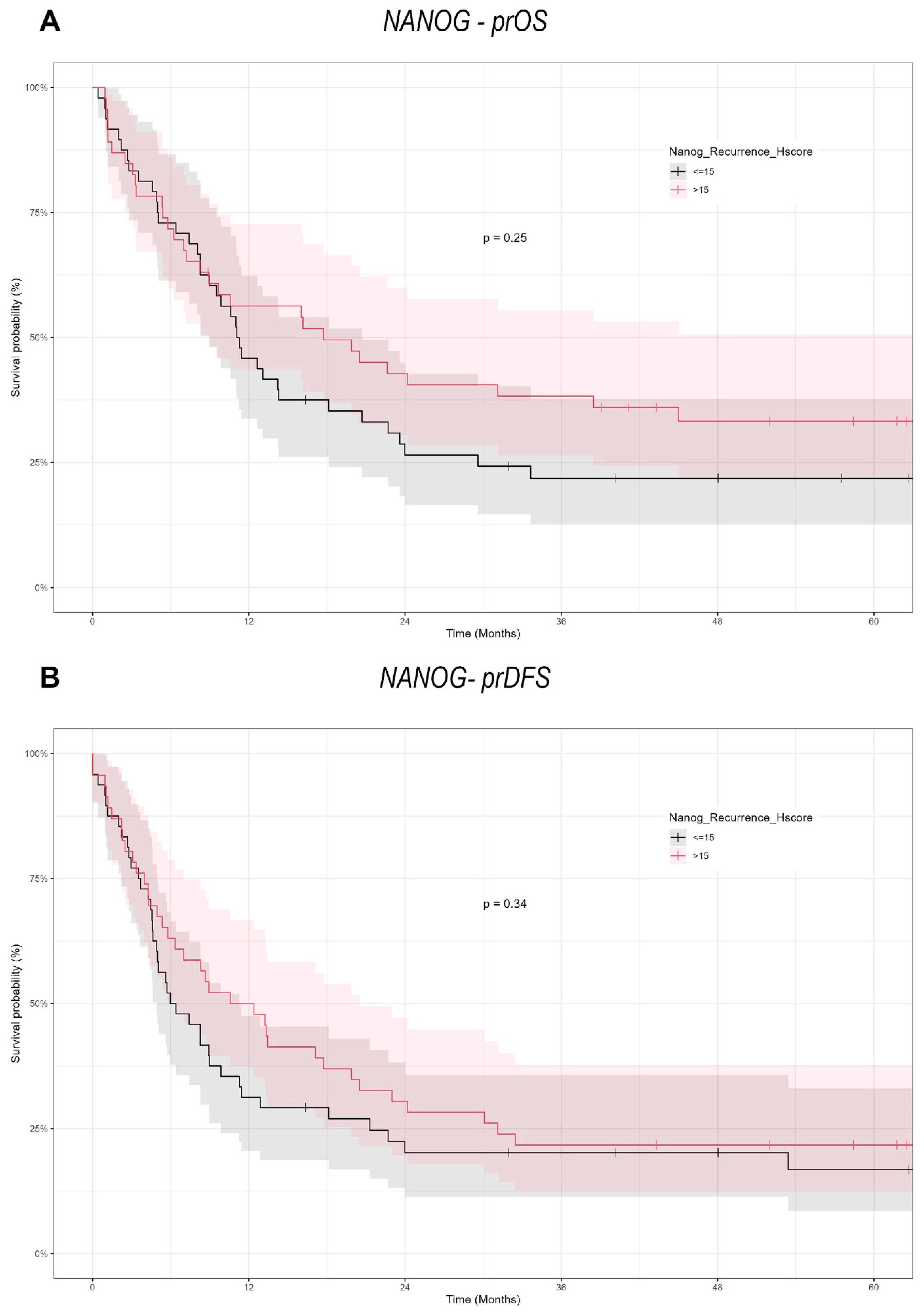 Cancers 17 01181 g006