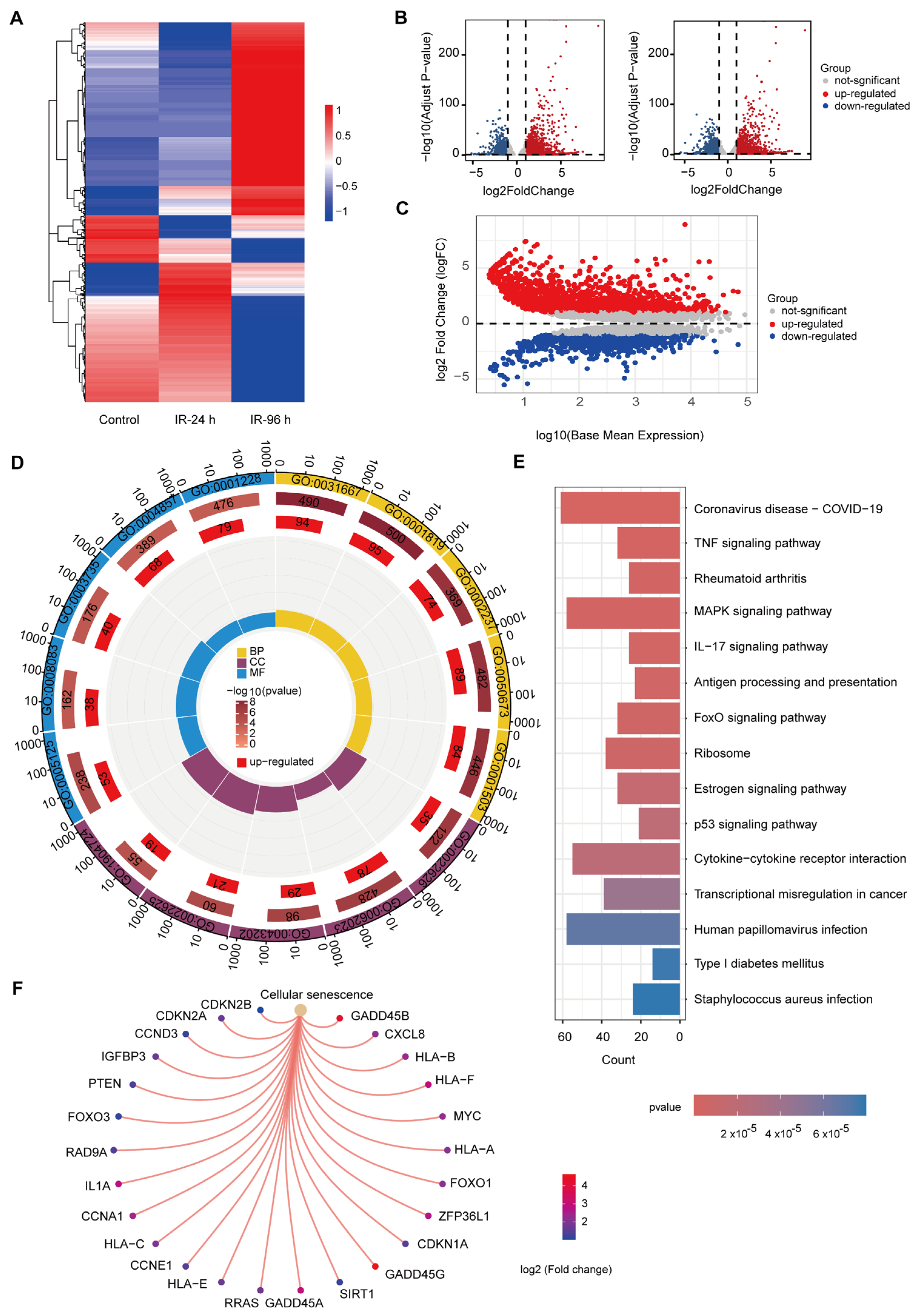 Cancers 17 01184 g001