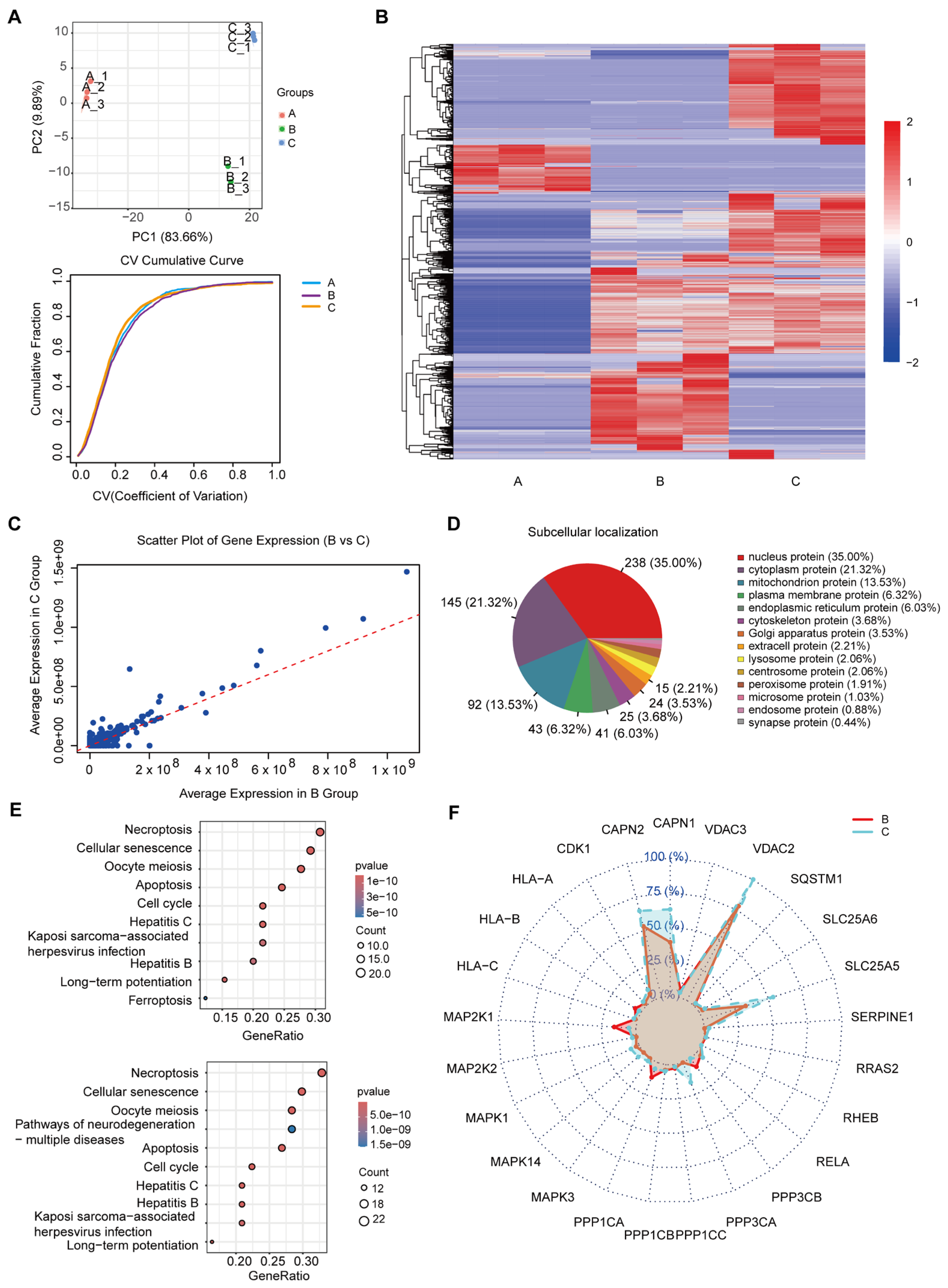 Cancers 17 01184 g002