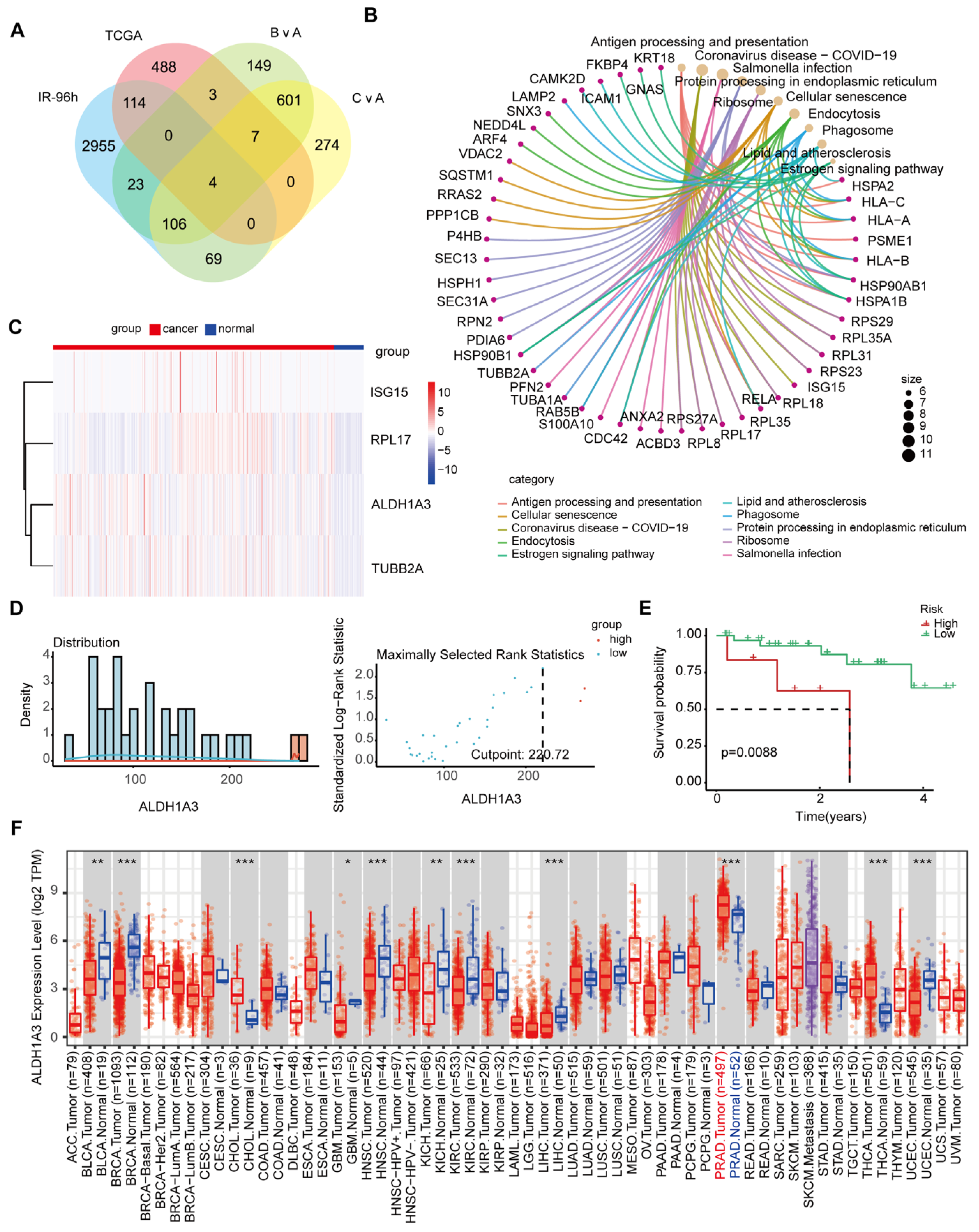 Cancers 17 01184 g003