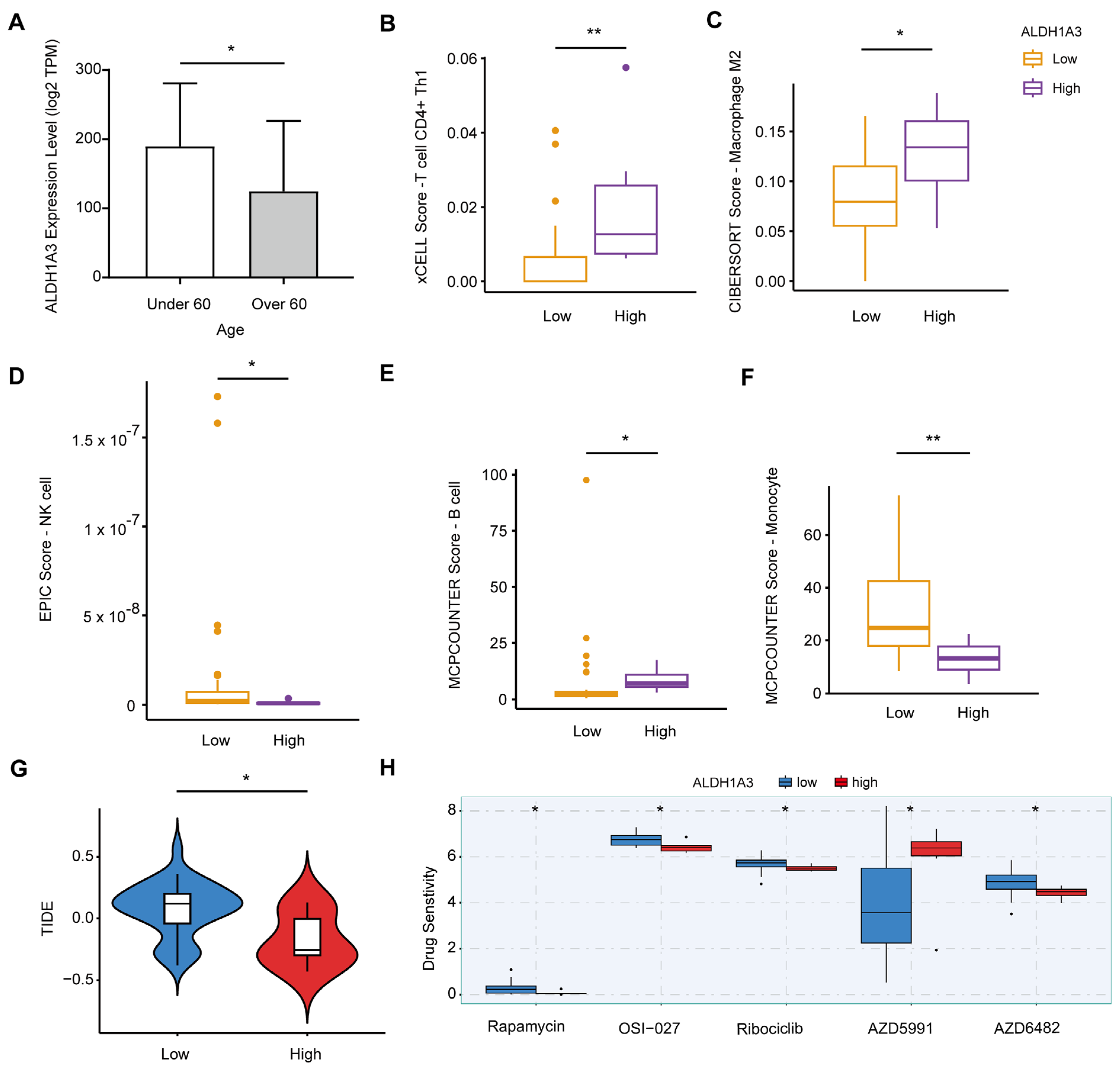 Cancers 17 01184 g004