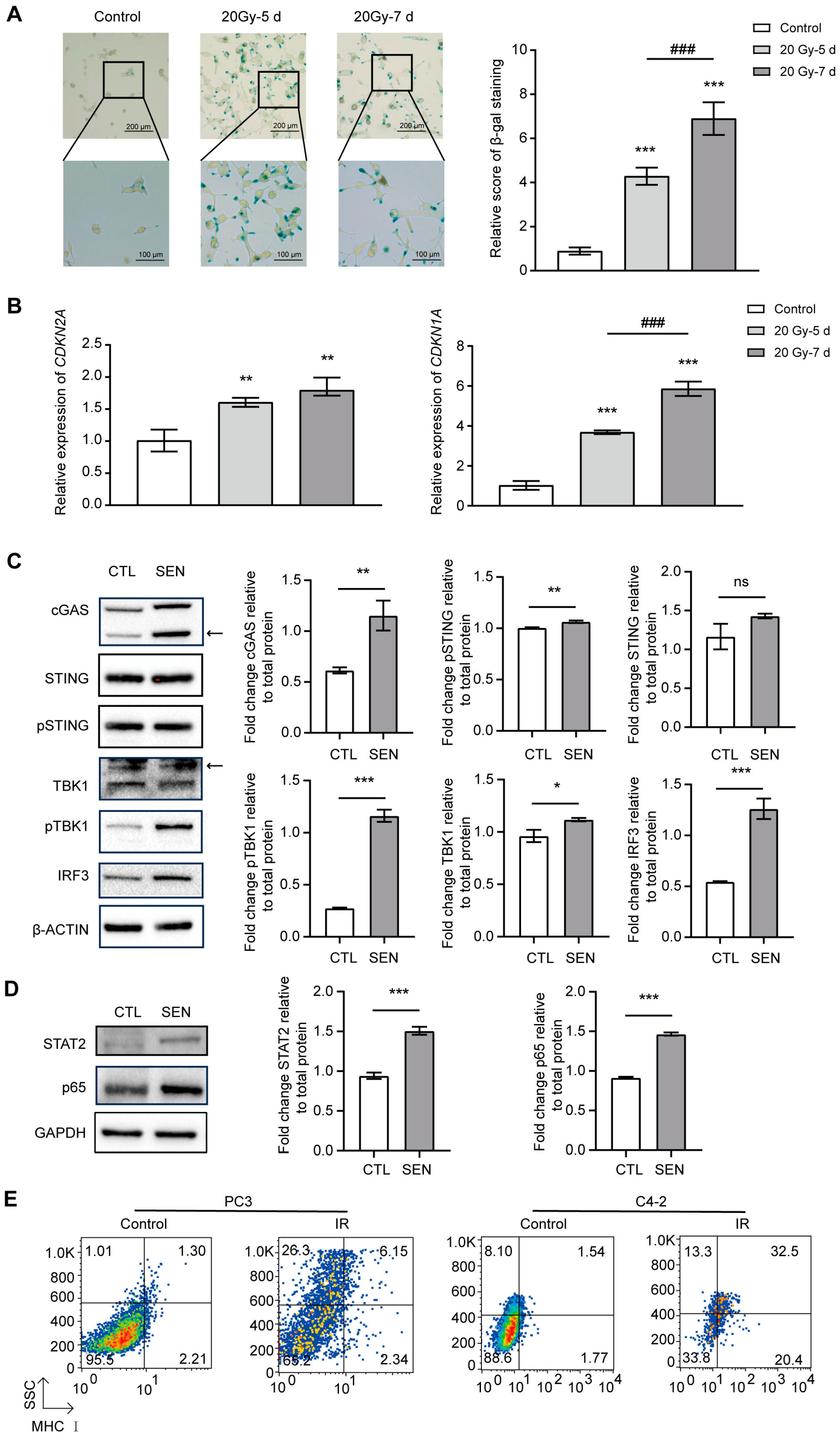 Cancers 17 01184 g005