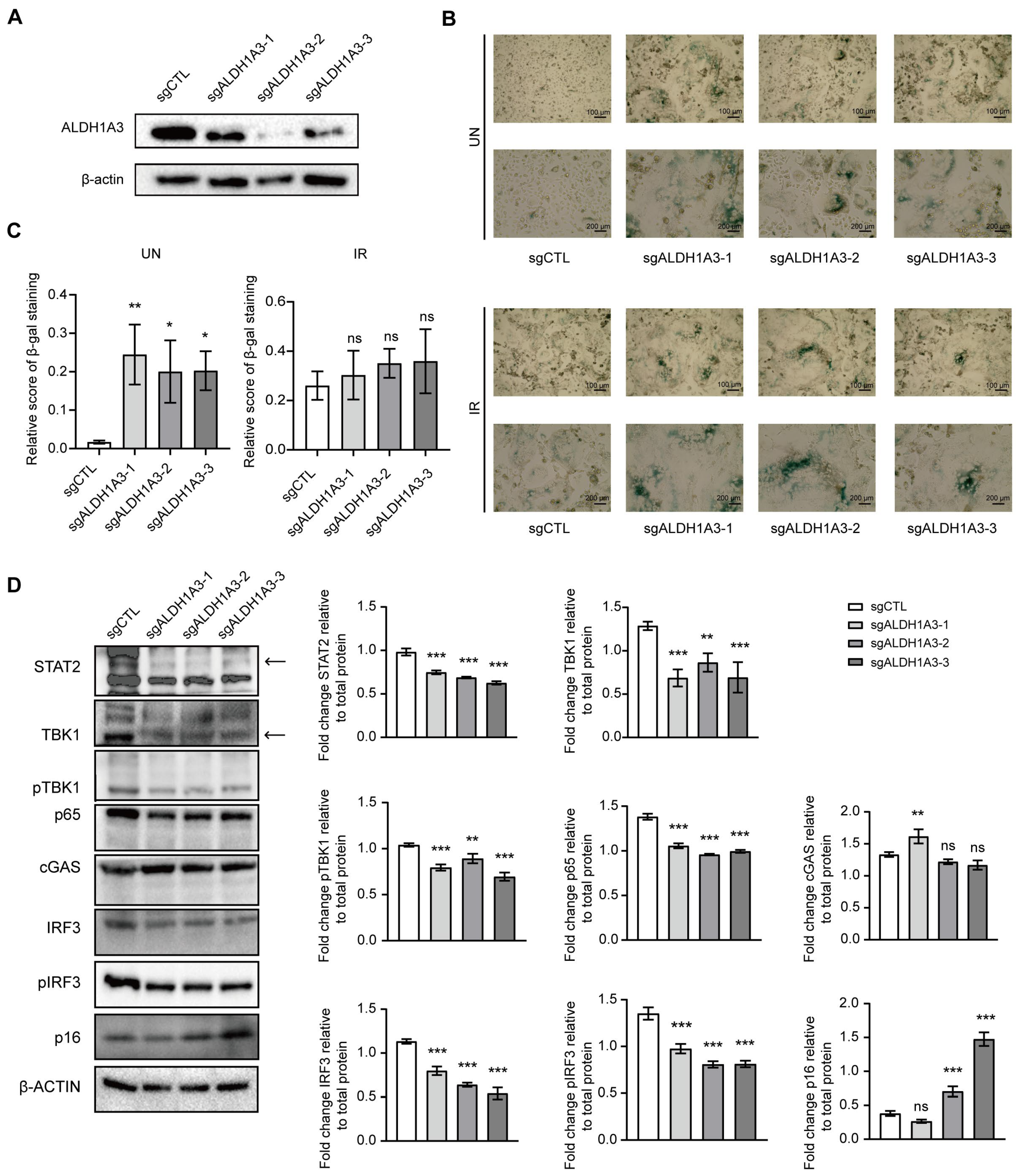 Cancers 17 01184 g006