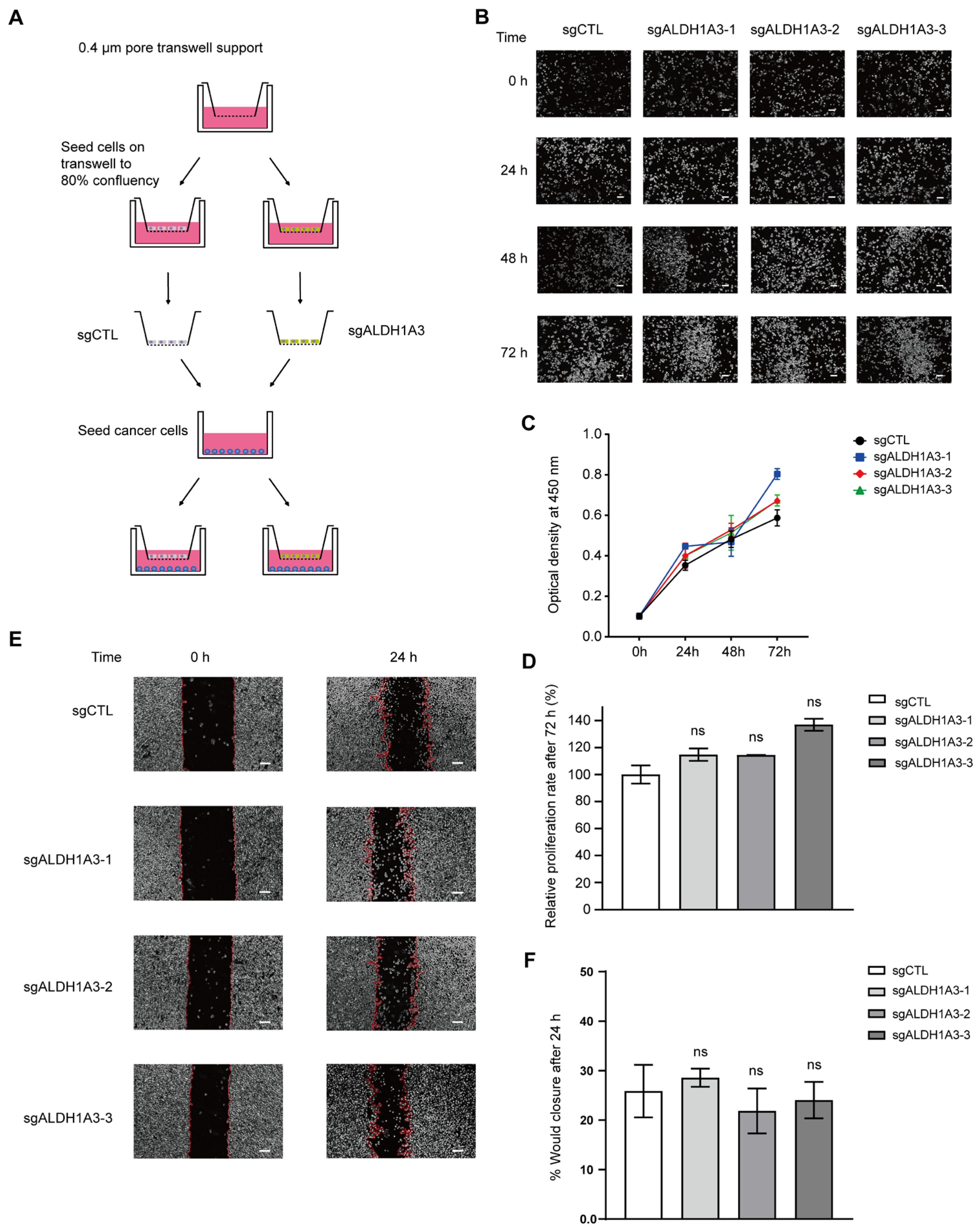 Cancers 17 01184 g007