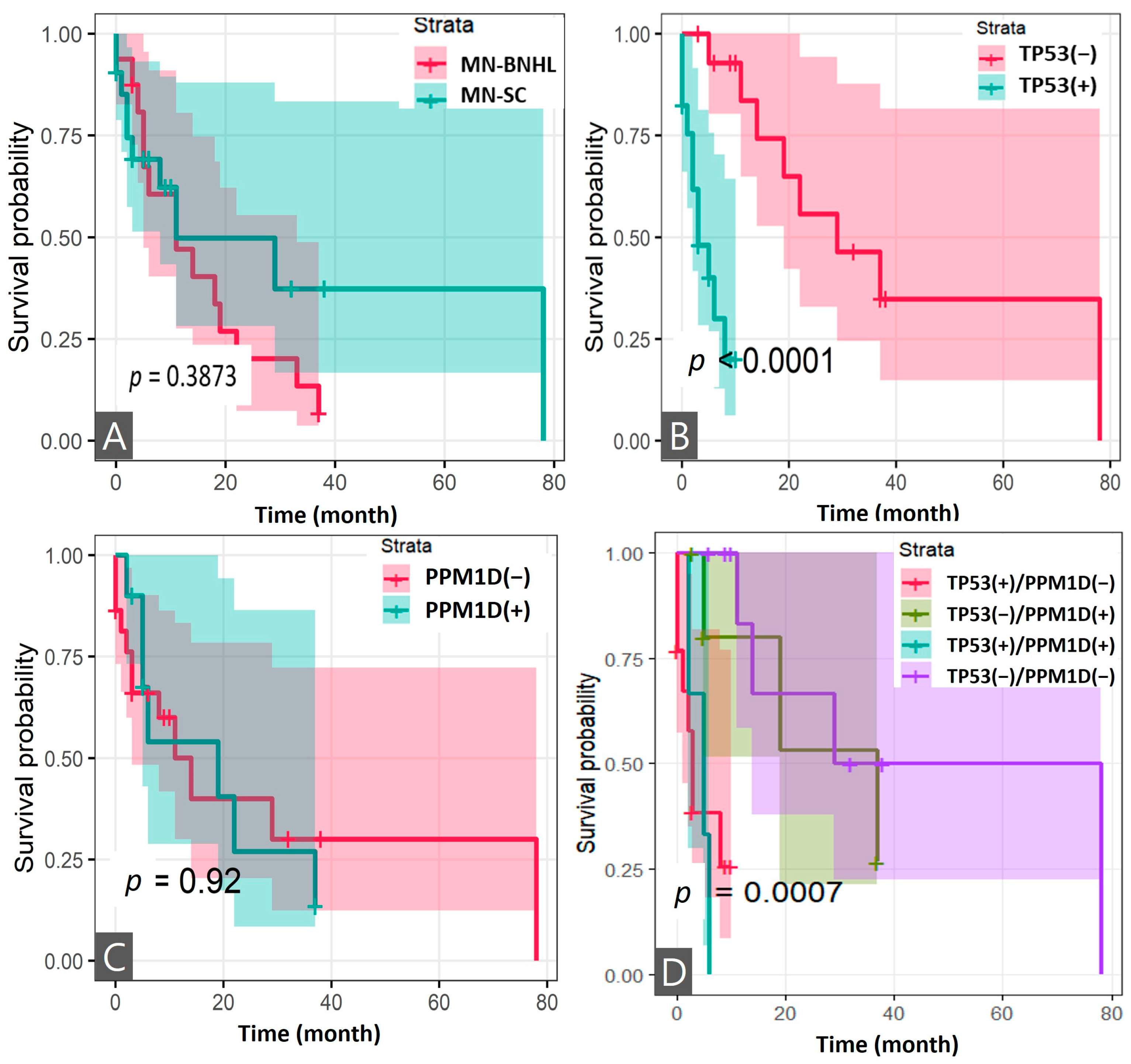 Cancers 17 01185 g004