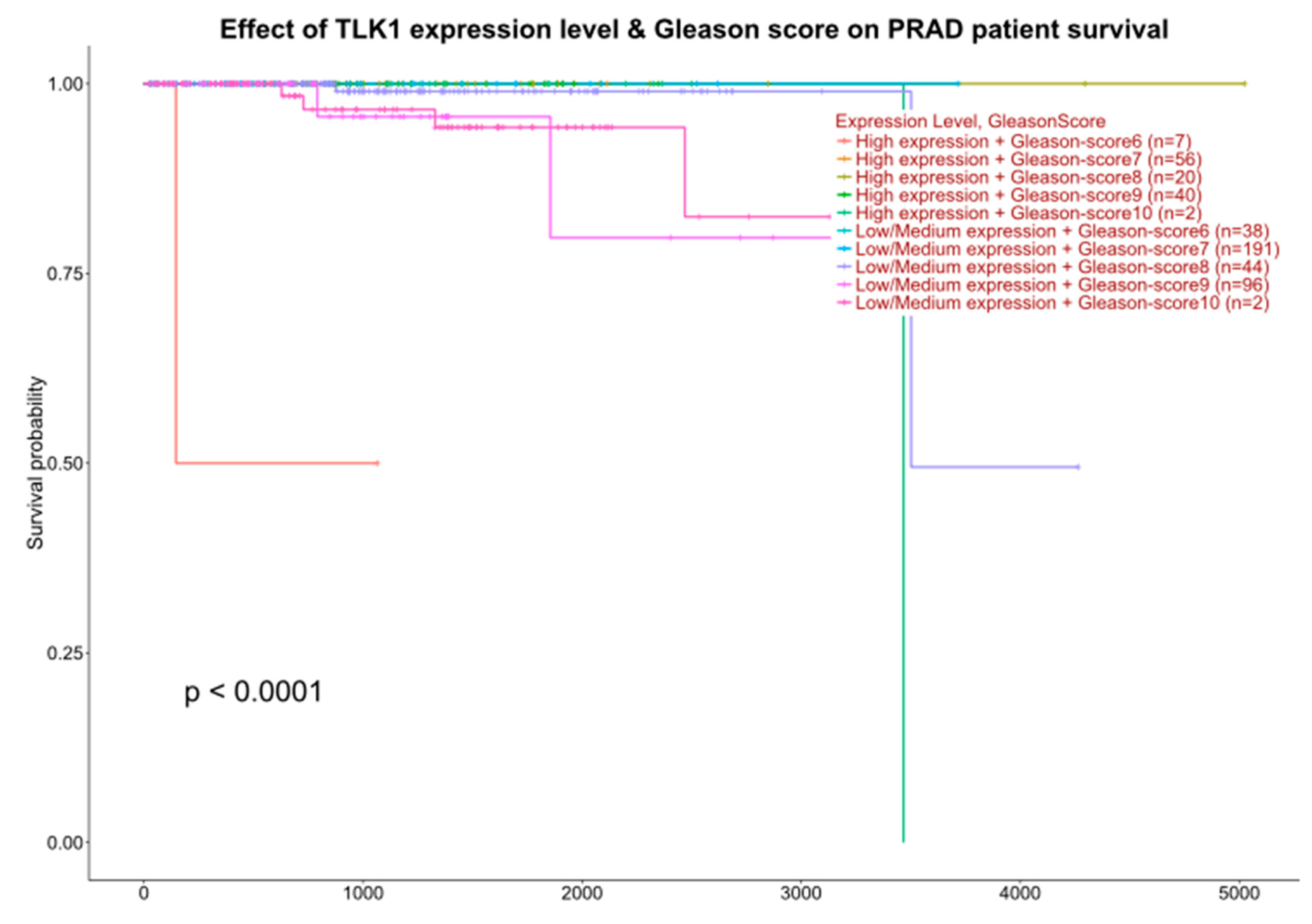 Cancers 17 01187 g001