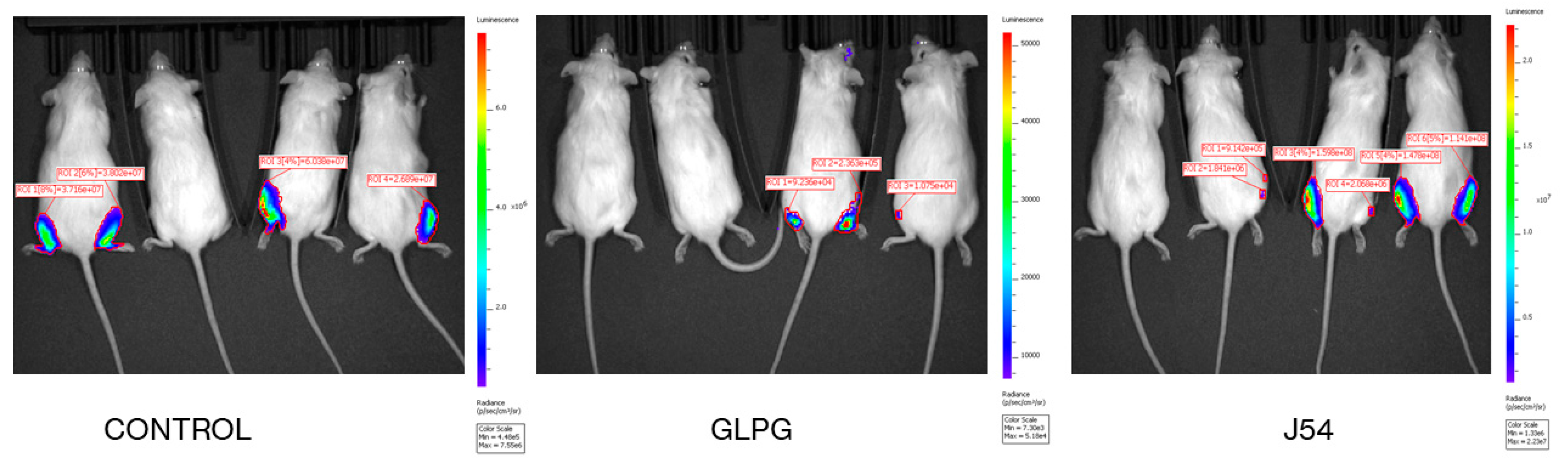 Cancers 17 01187 g007
