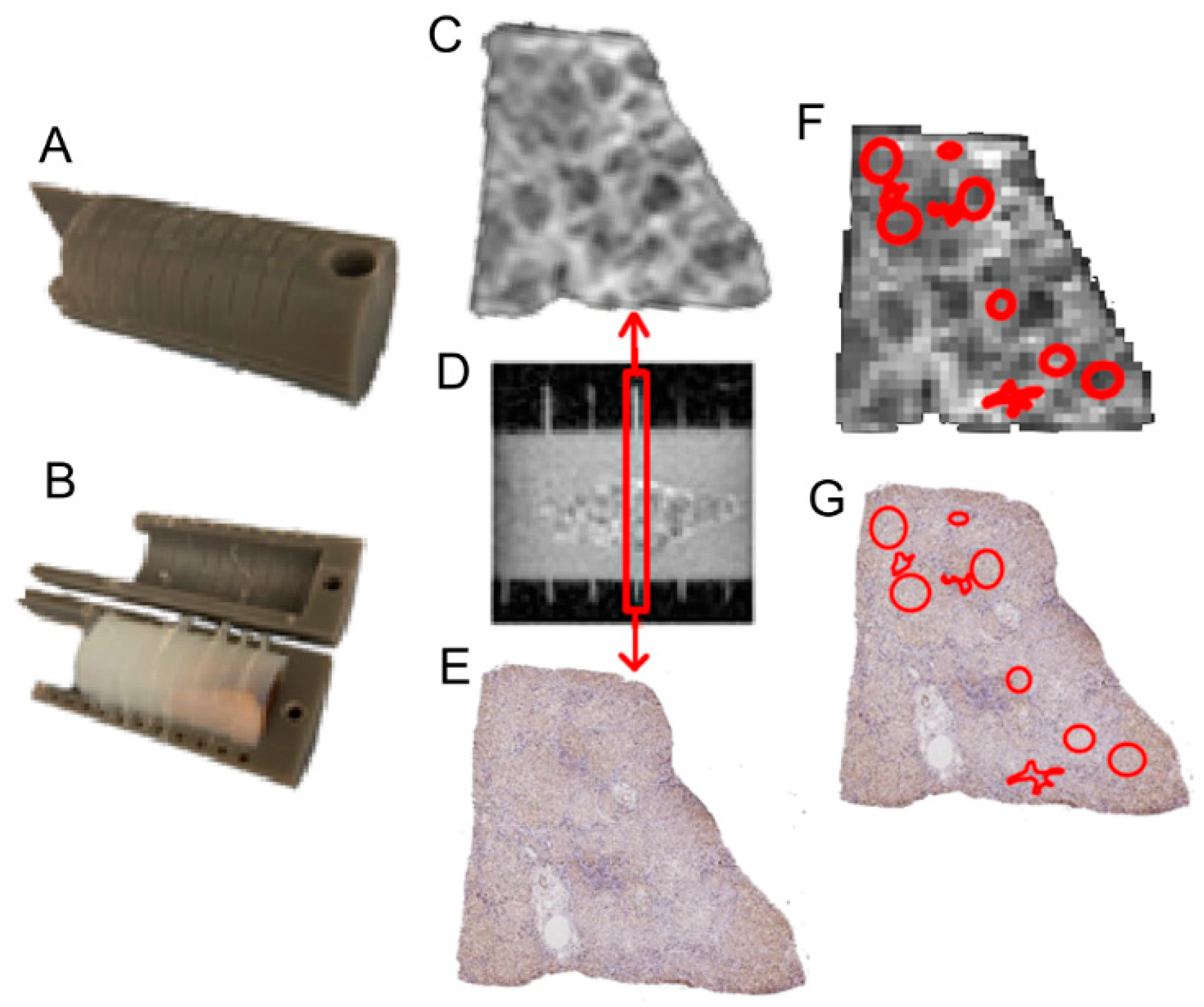 Cancers 17 01204 g001