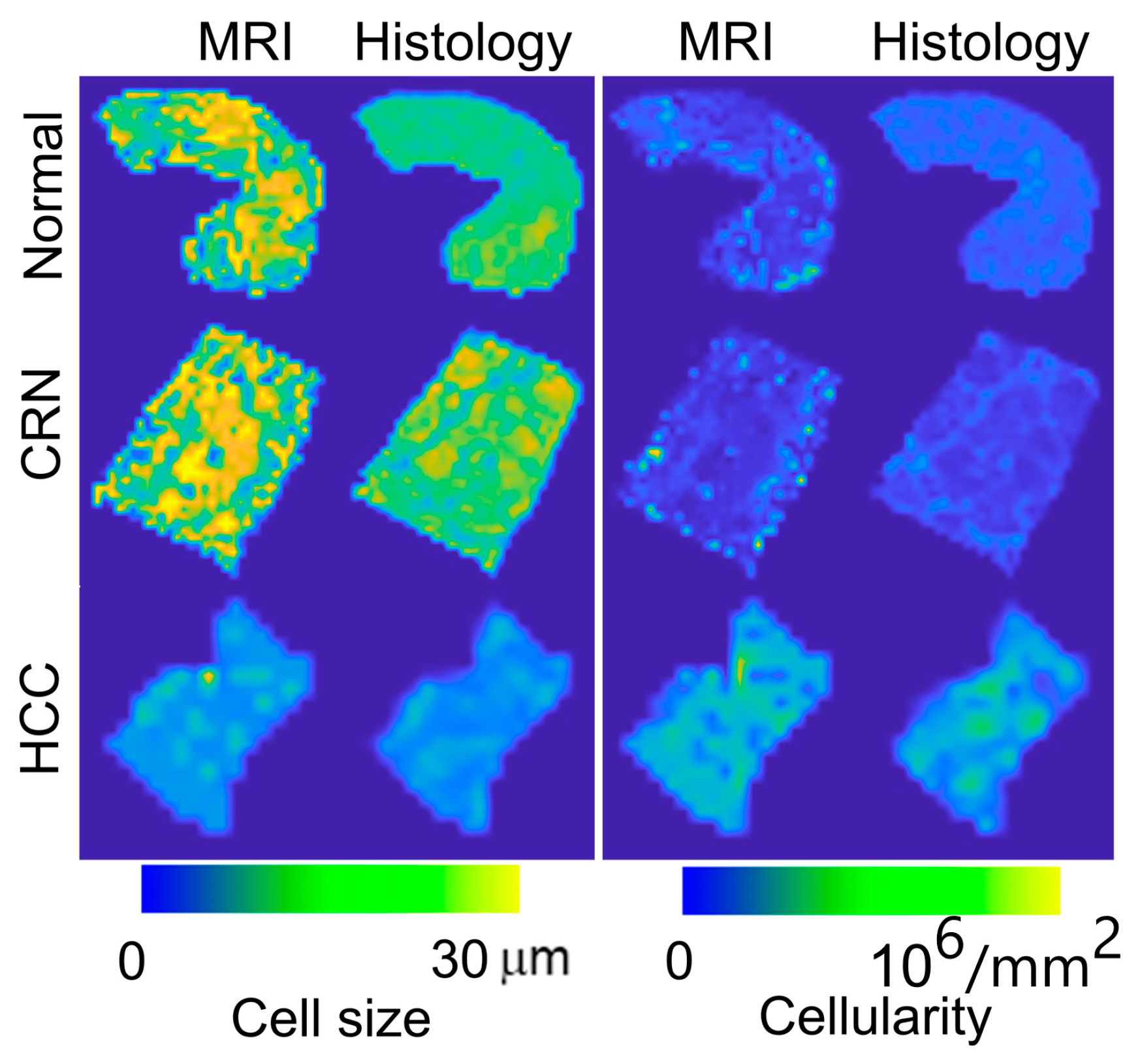 Cancers 17 01204 g005