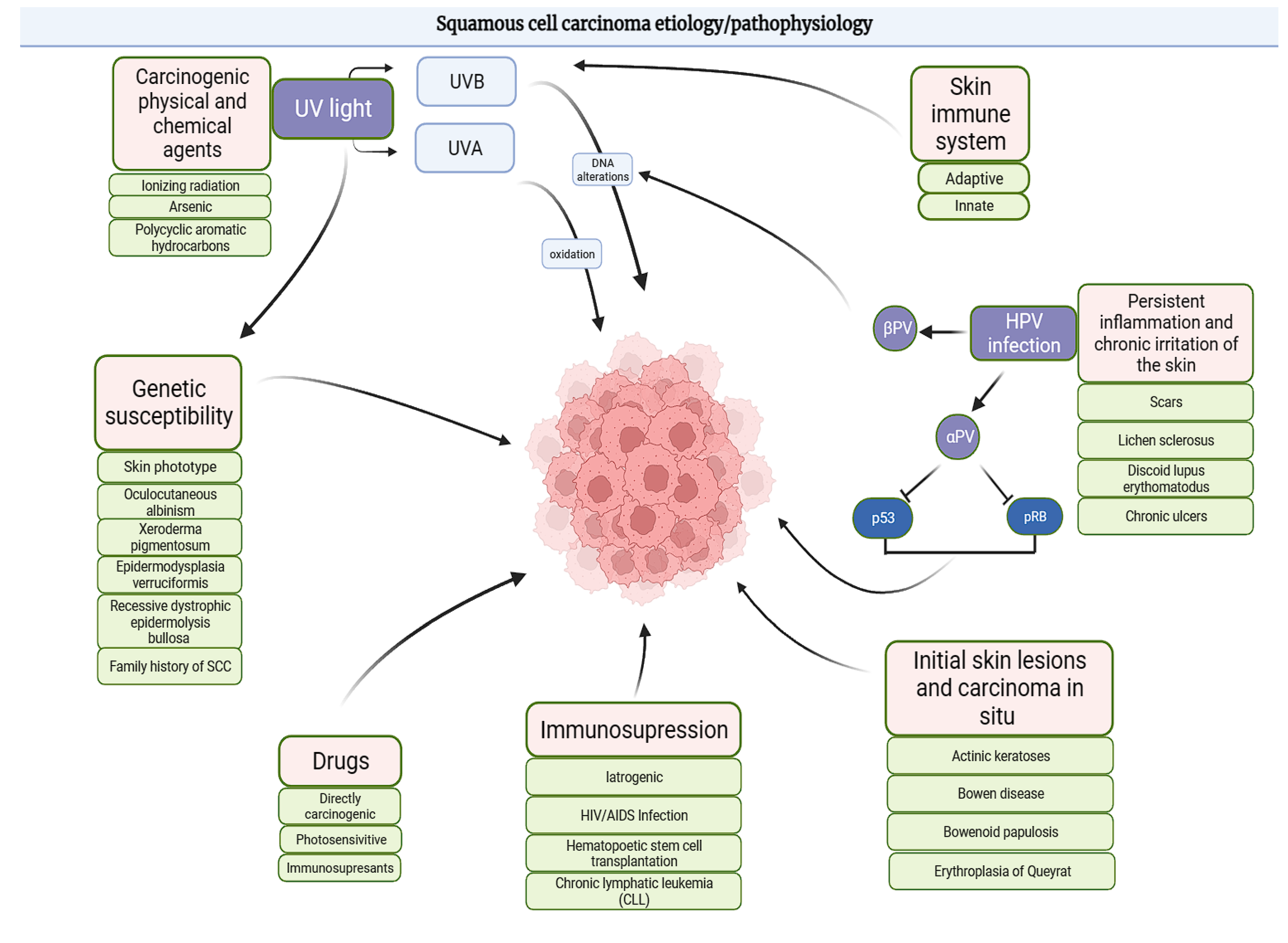 Cancers 17 01217 g001