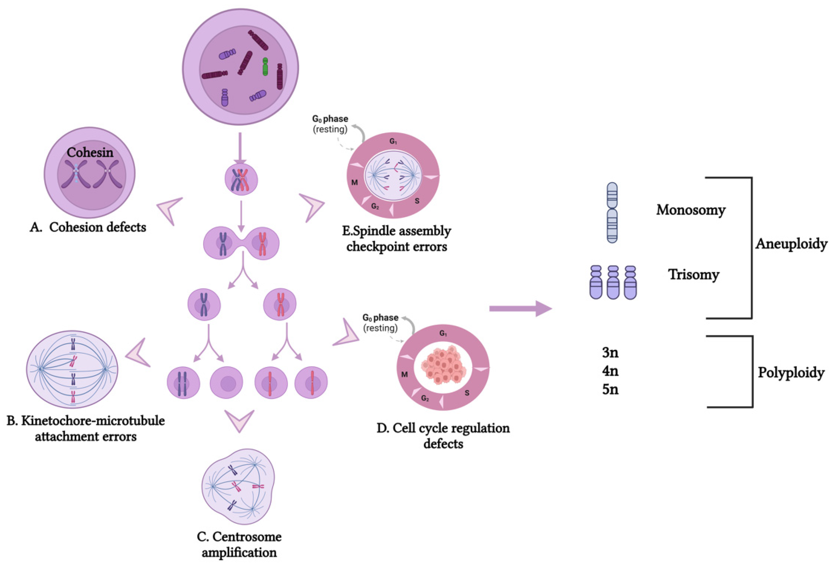 daughter nude cp Chromosomal Instability and Clonal Heterogeneity in Breast Cancer: From  Mechanisms to Clinical Applications