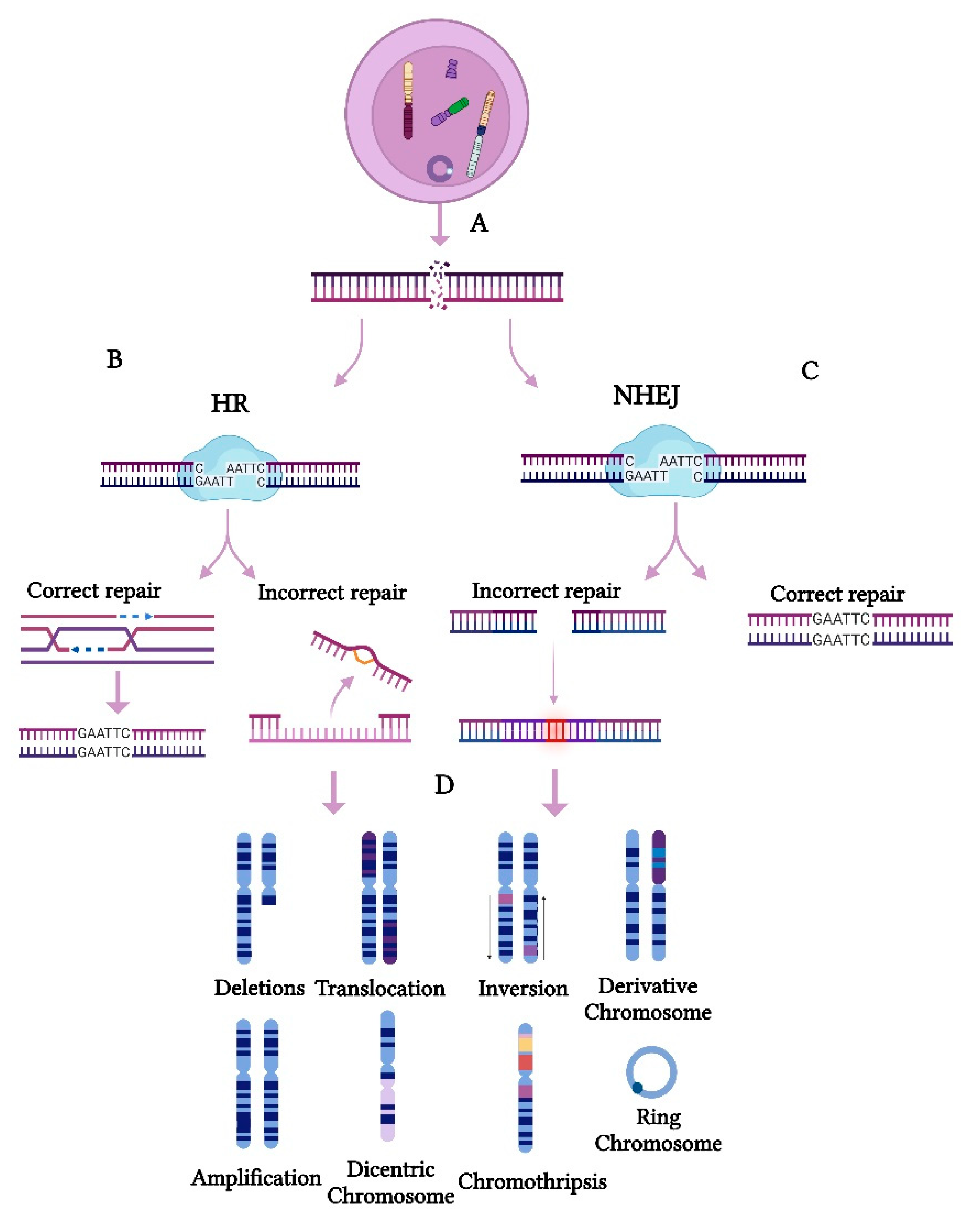Cancers 17 01222 g002