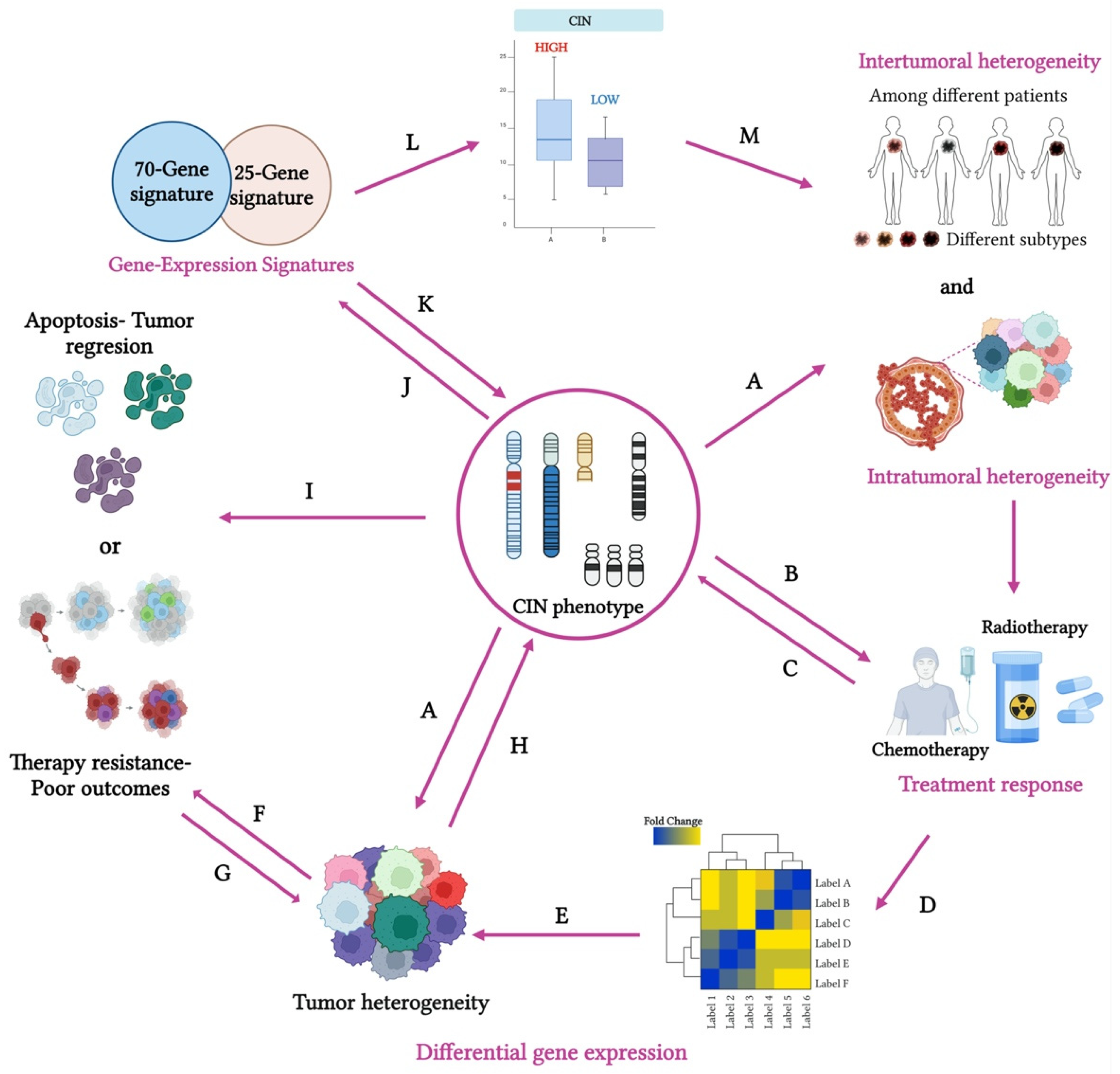Cancers 17 01222 g003