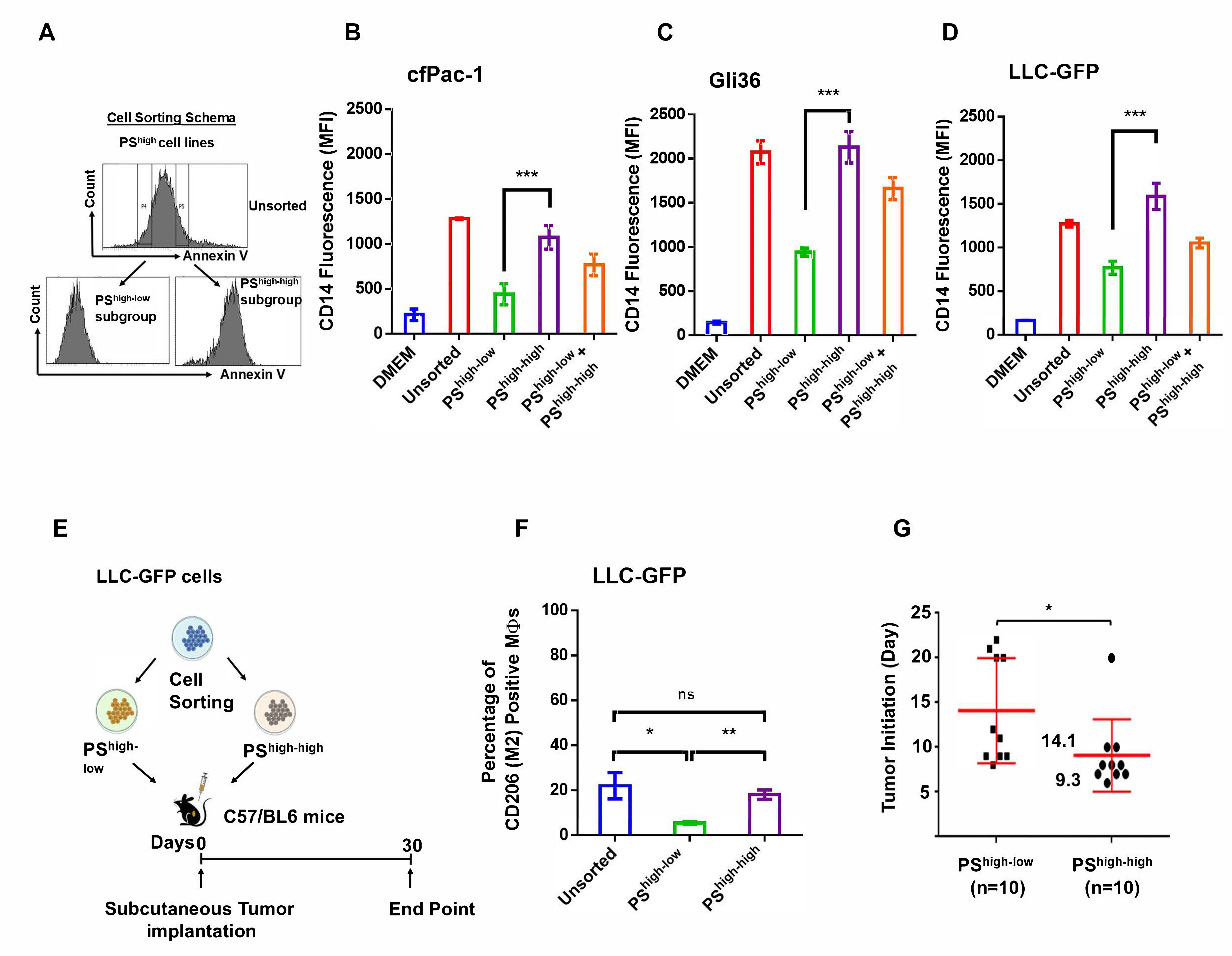 Cancers 17 01224 g002