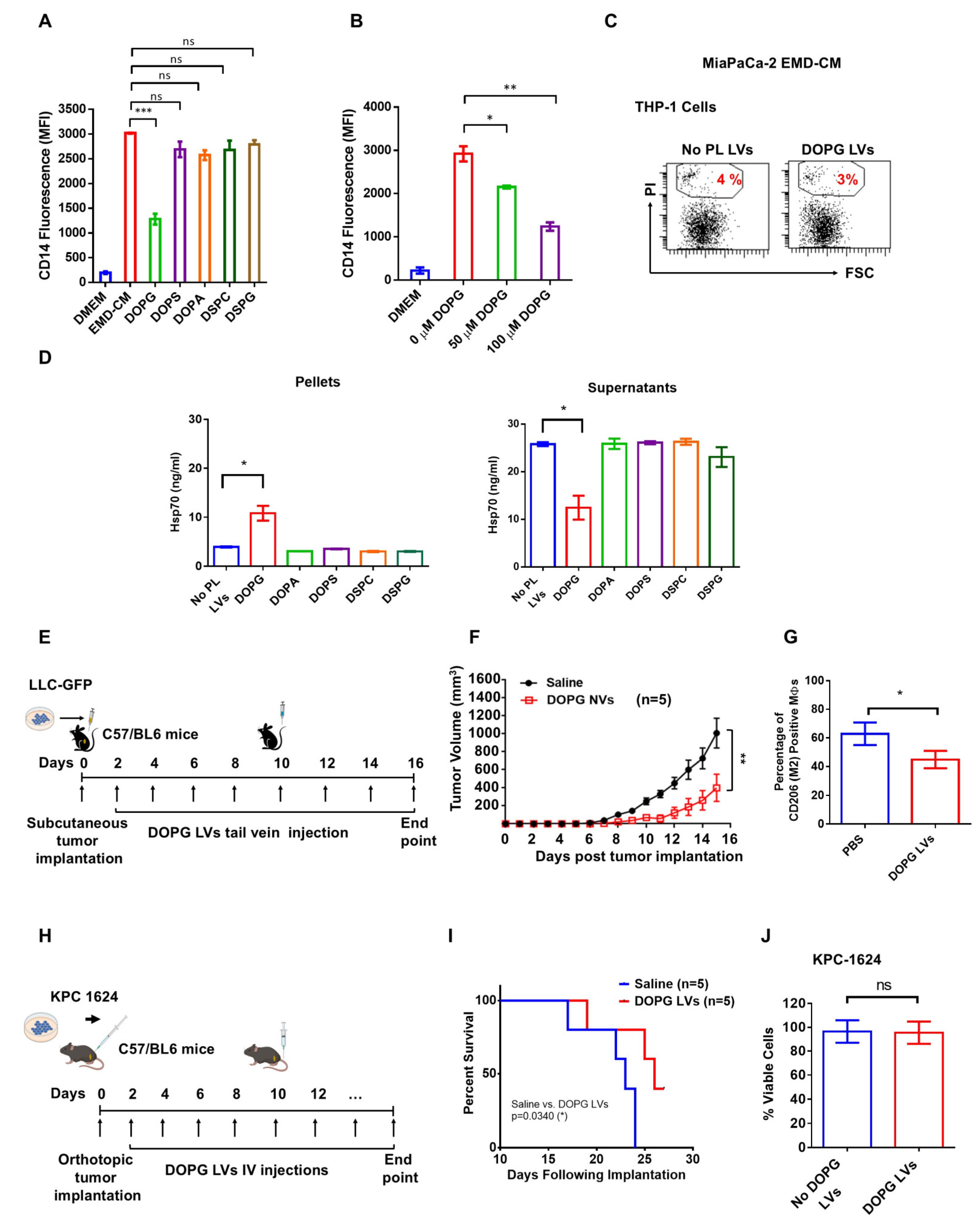 Cancers 17 01224 g003