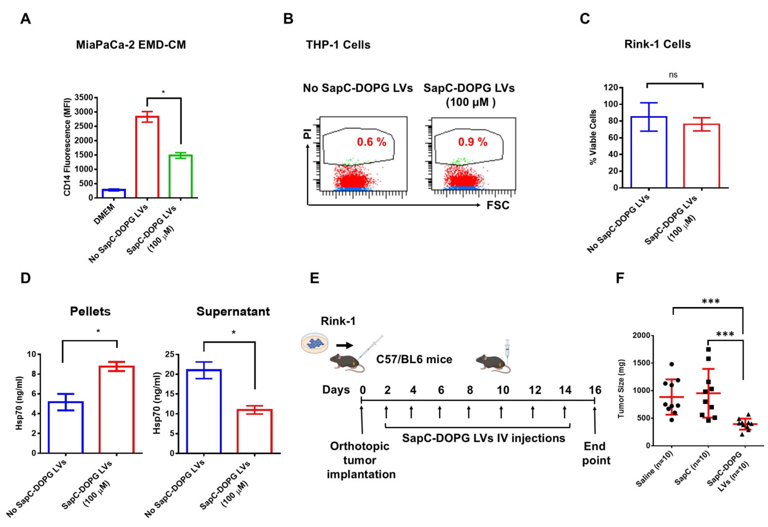 Cancers 17 01224 g004