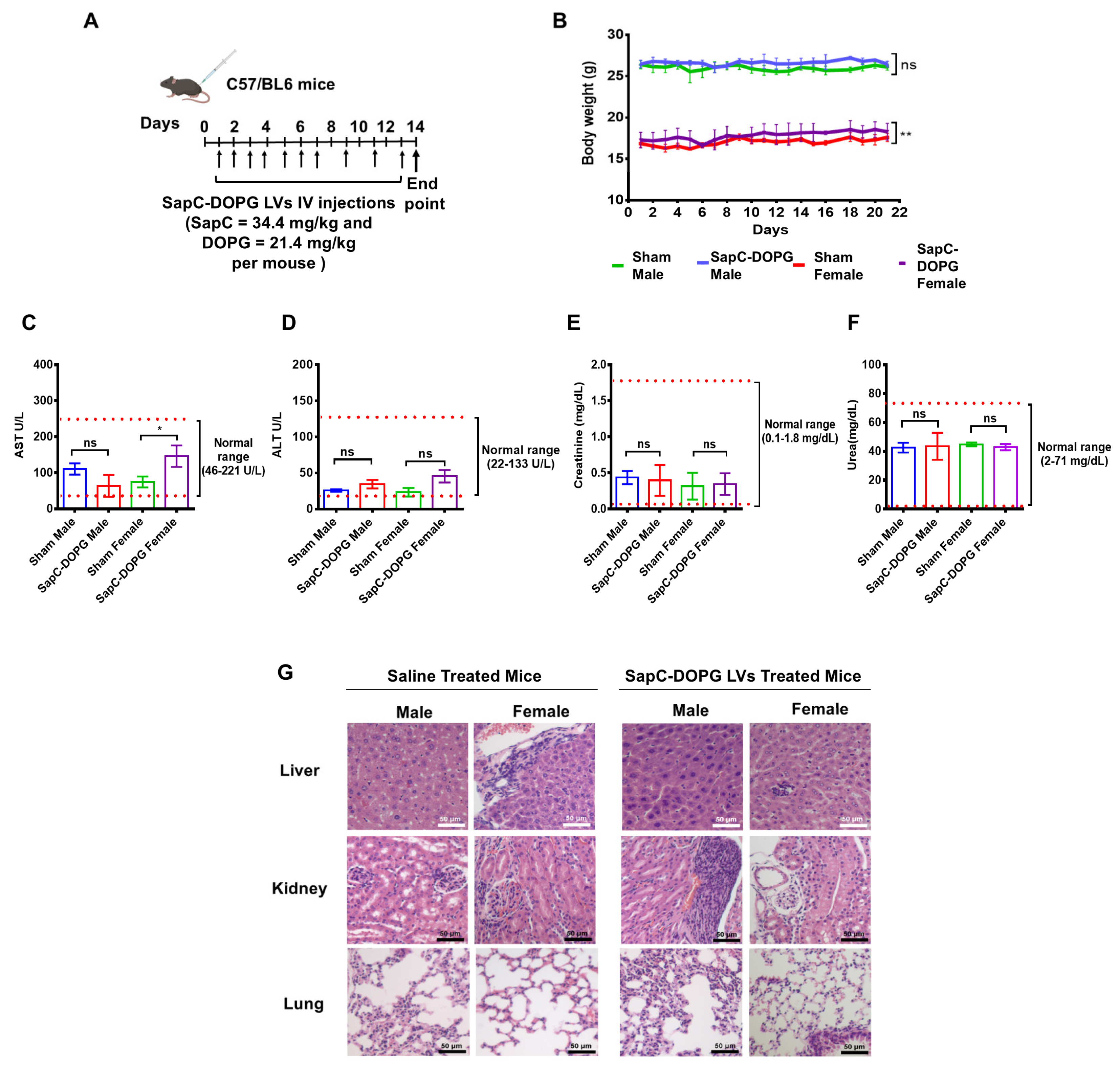 Cancers 17 01224 g006