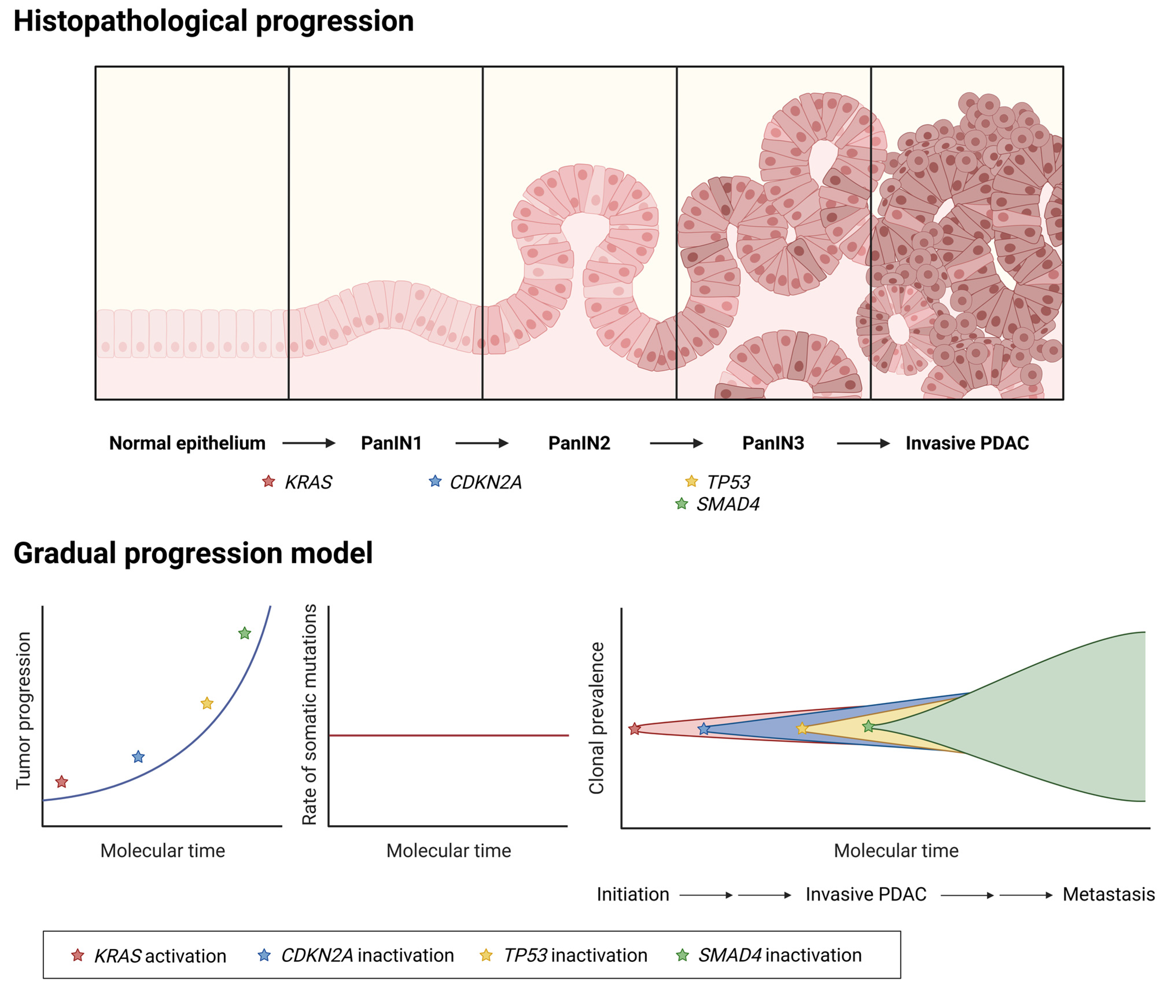 Cancers 17 01226 g001