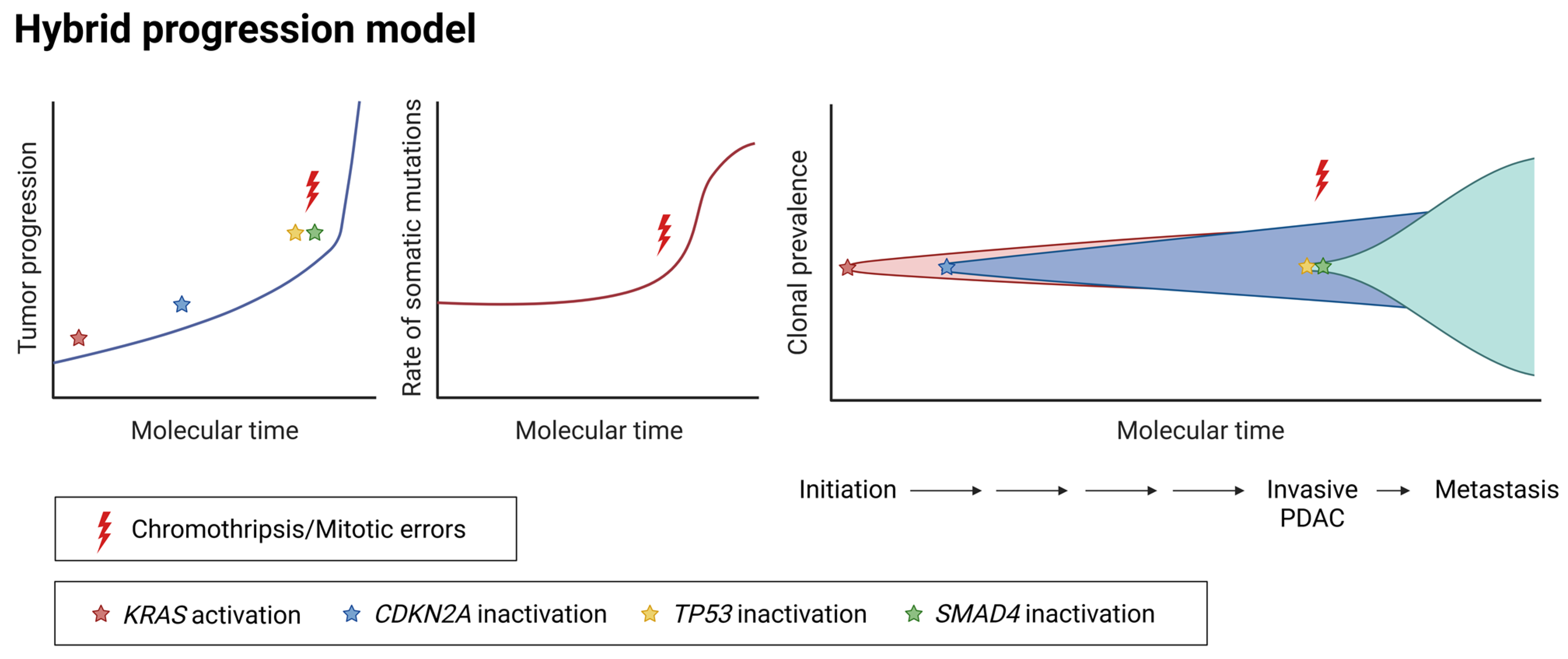 Cancers 17 01226 g003