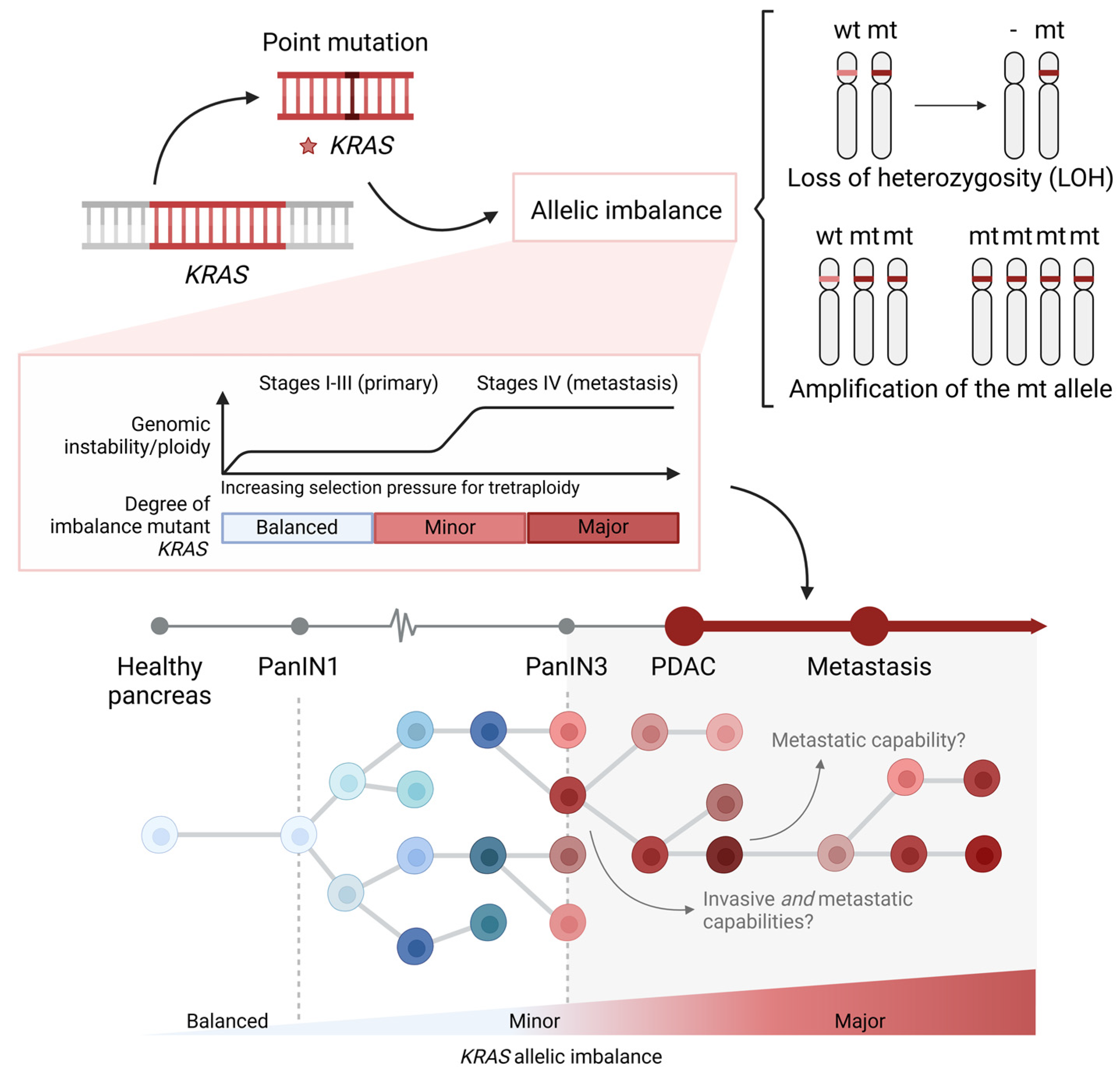 Cancers 17 01226 g004