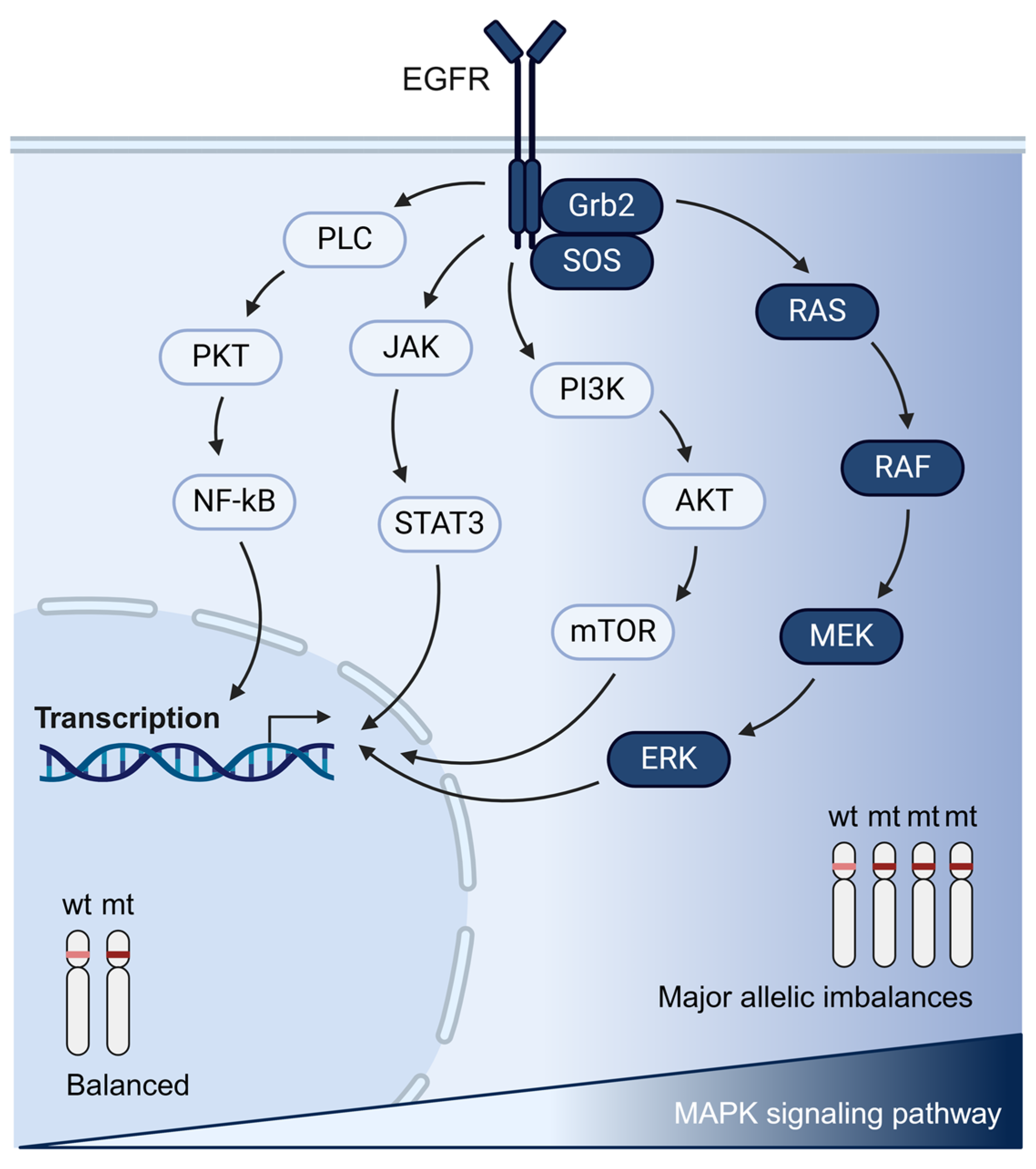 Cancers 17 01226 g005