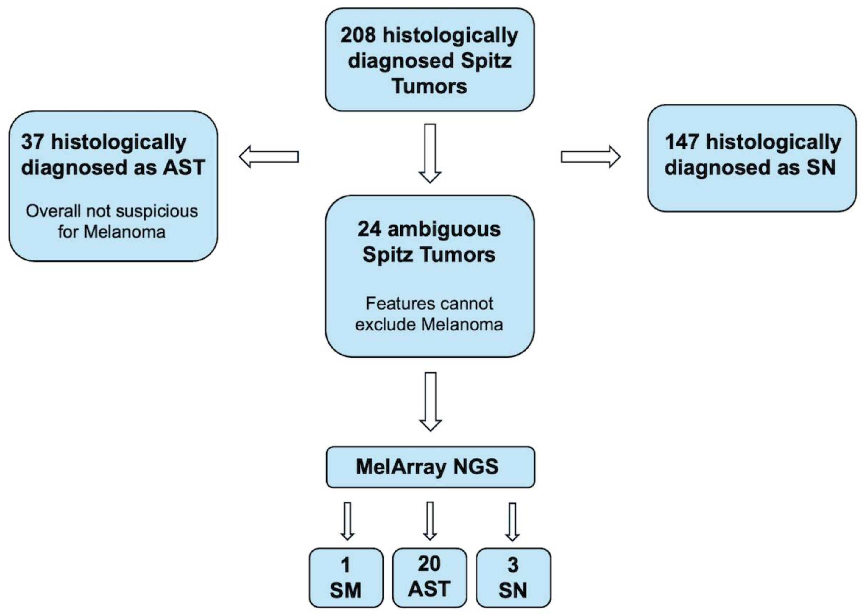 Cancers 17 01227 g001