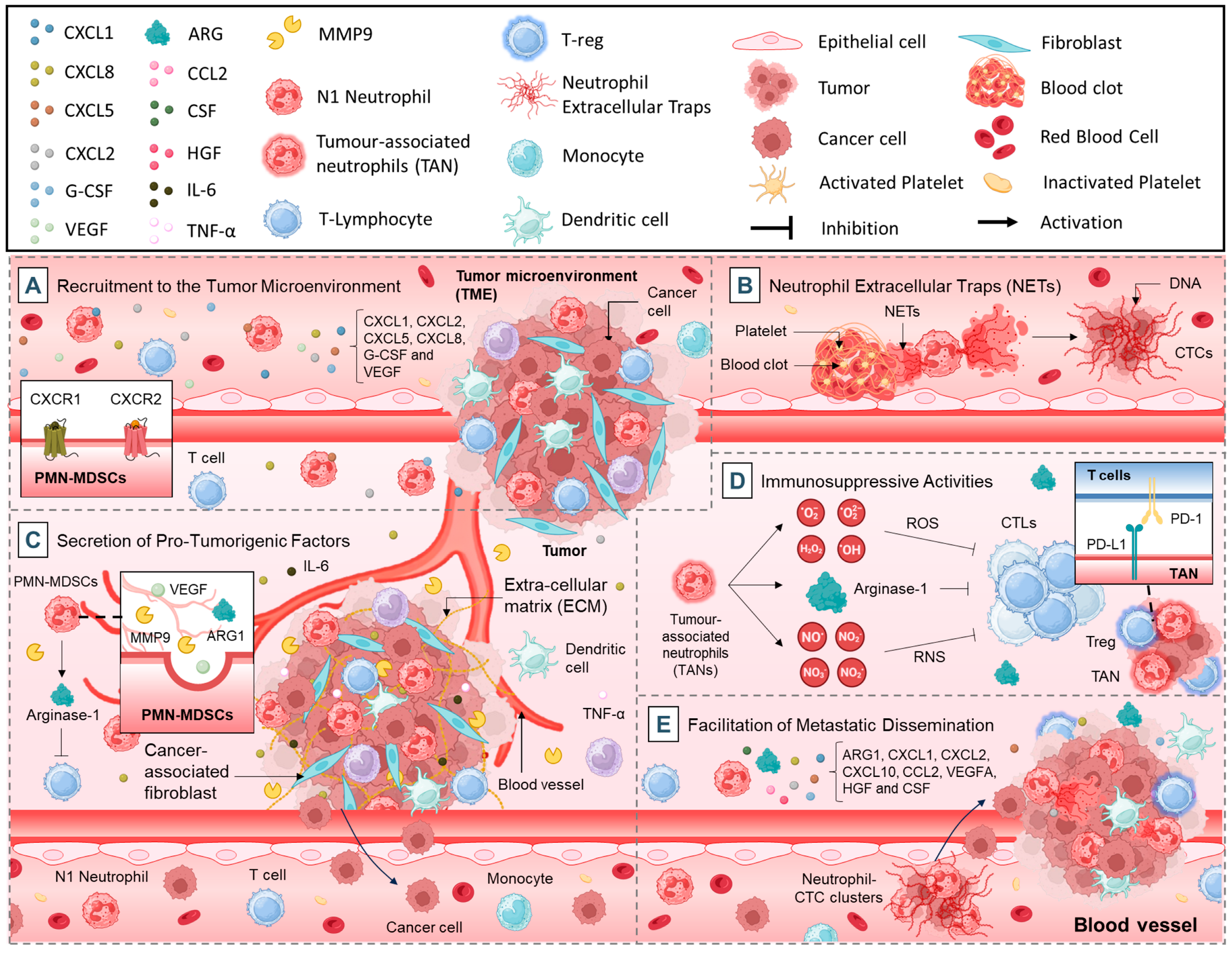 Cancers 17 01232 g001