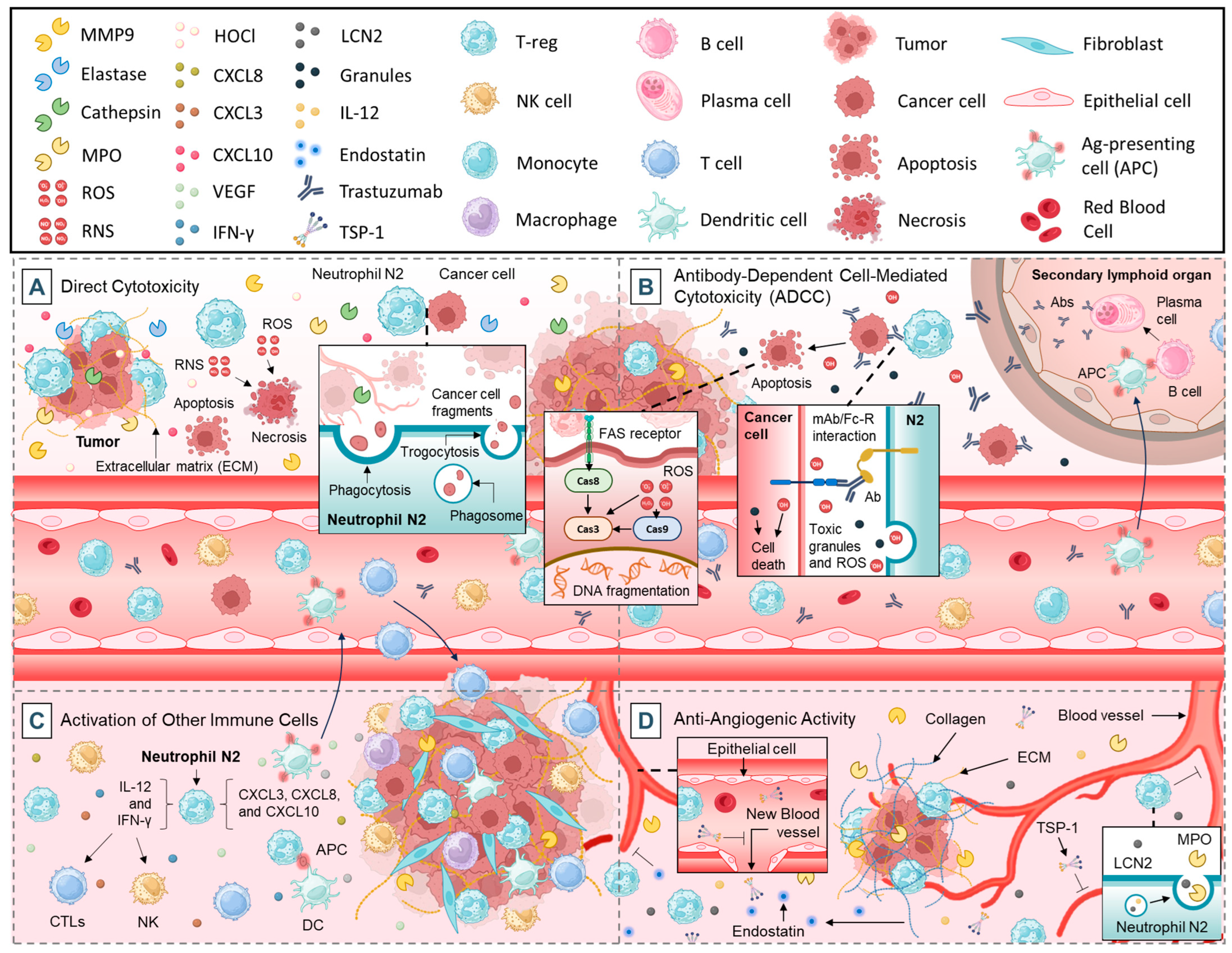Cancers 17 01232 g002