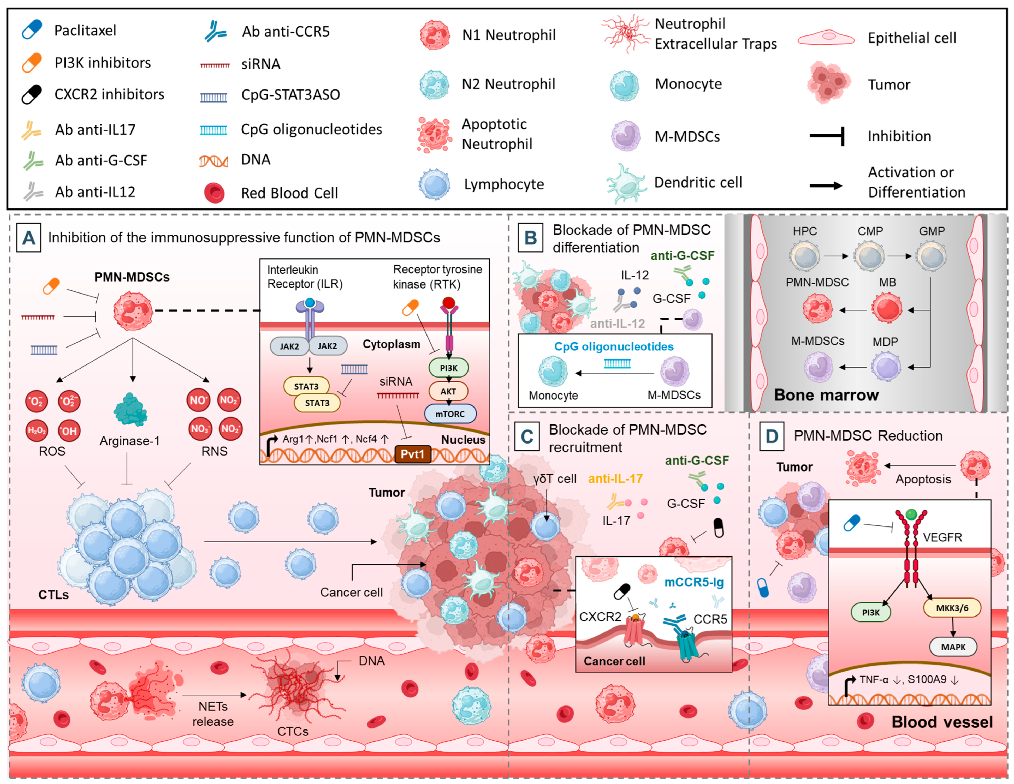 Cancers 17 01232 g003