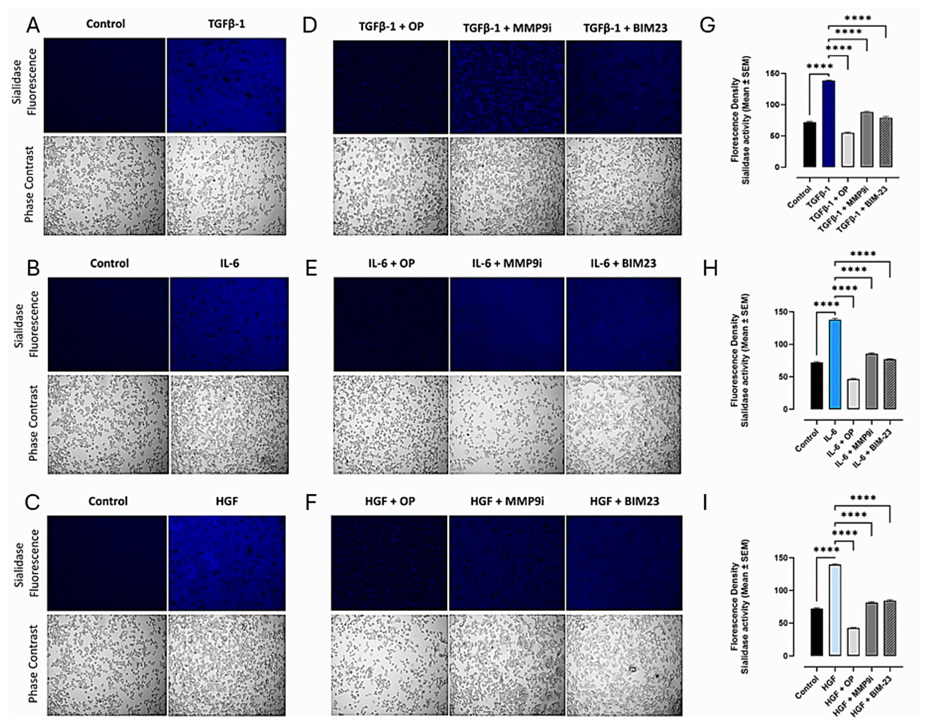Cancers 17 01234 g003 Cancers 17 01234 g003