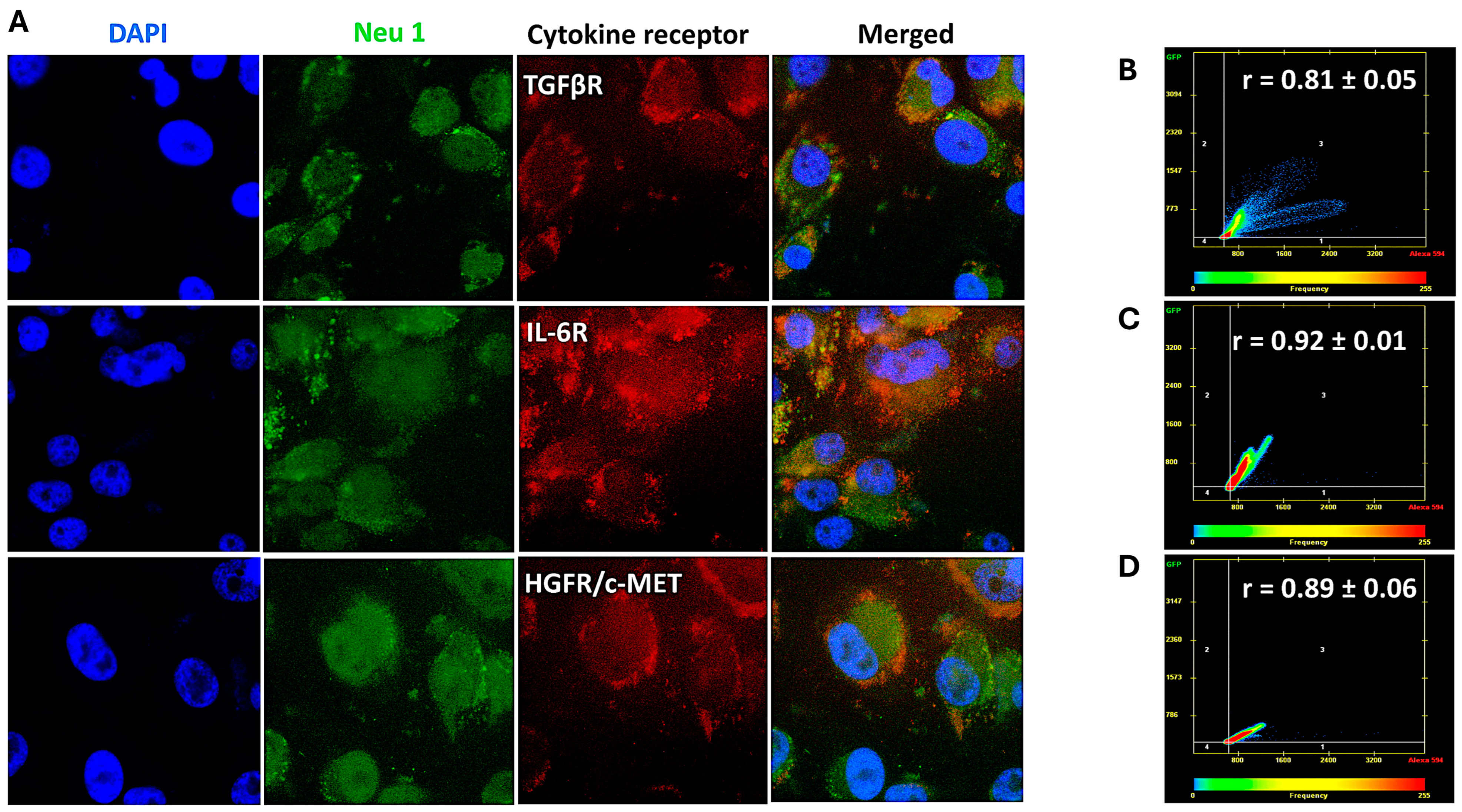 Cancers 17 01234 g007 Cancers 17 01234 g007