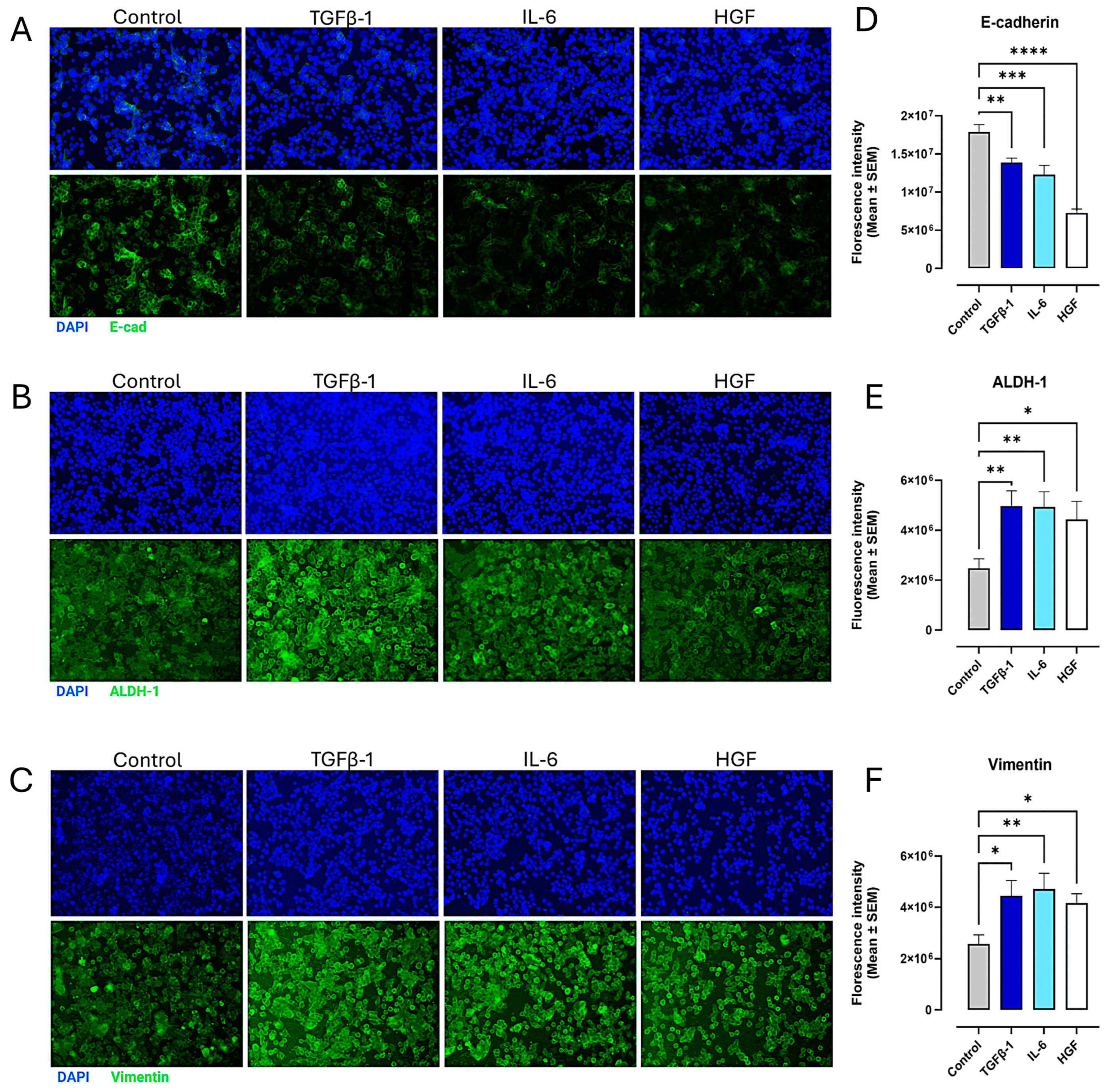 Cancers 17 01234 g010 Cancers 17 01234 g010