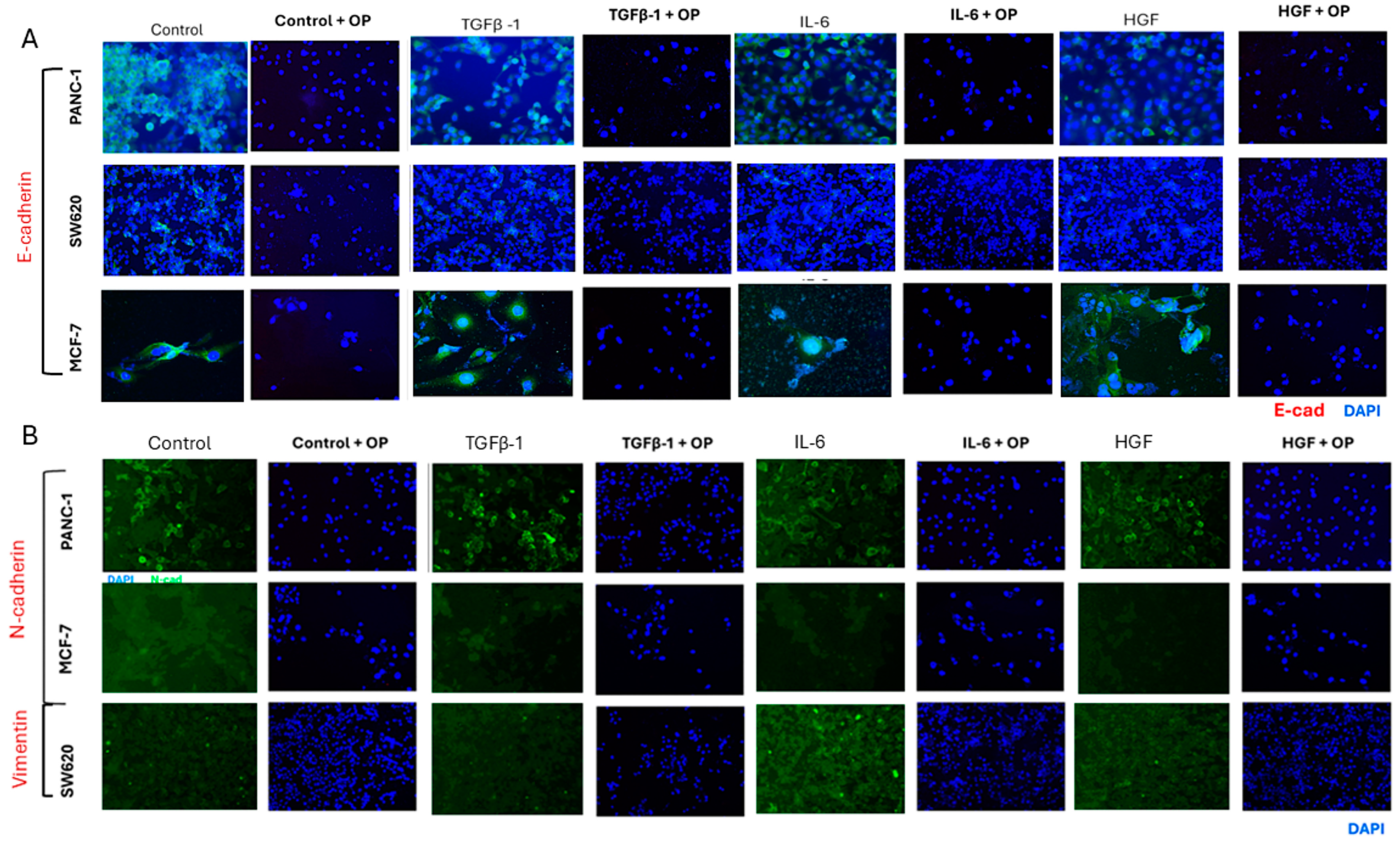 Cancers 17 01234 g013 Cancers 17 01234 g013