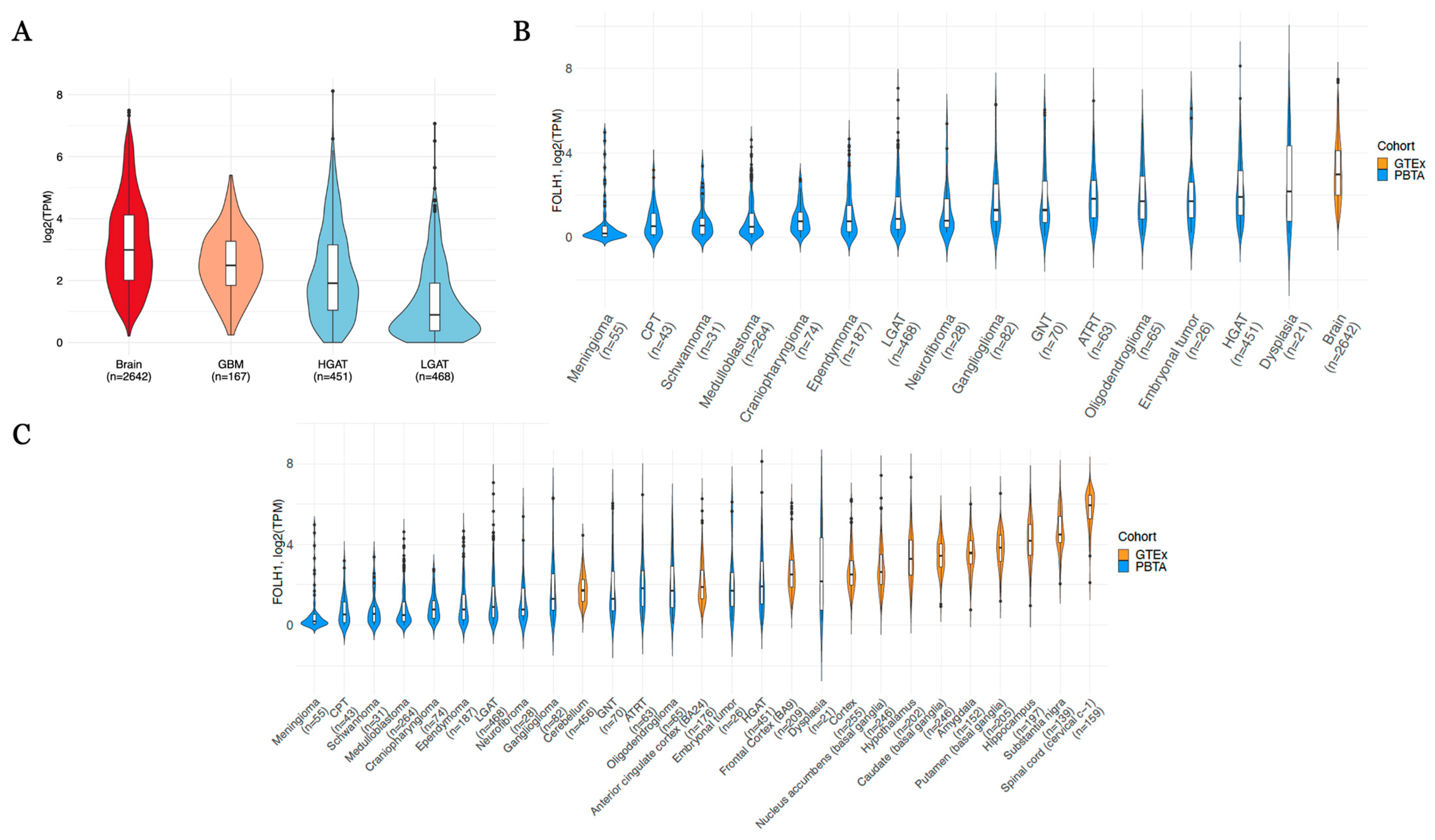 Cancers 17 01239 g002