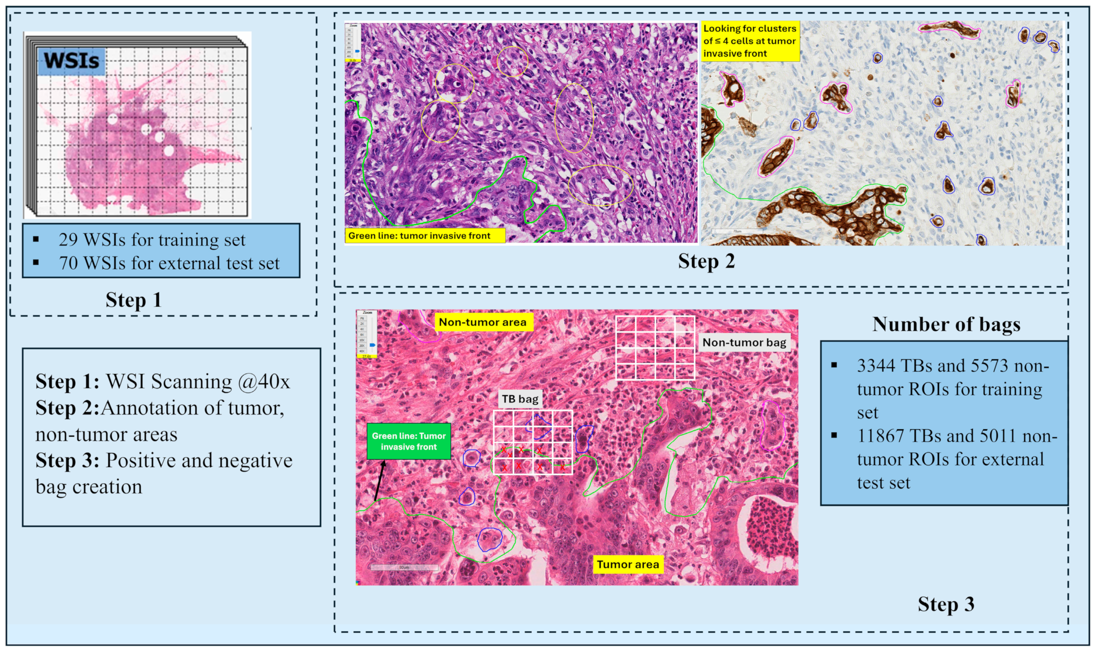 Cancers 17 01245 g002