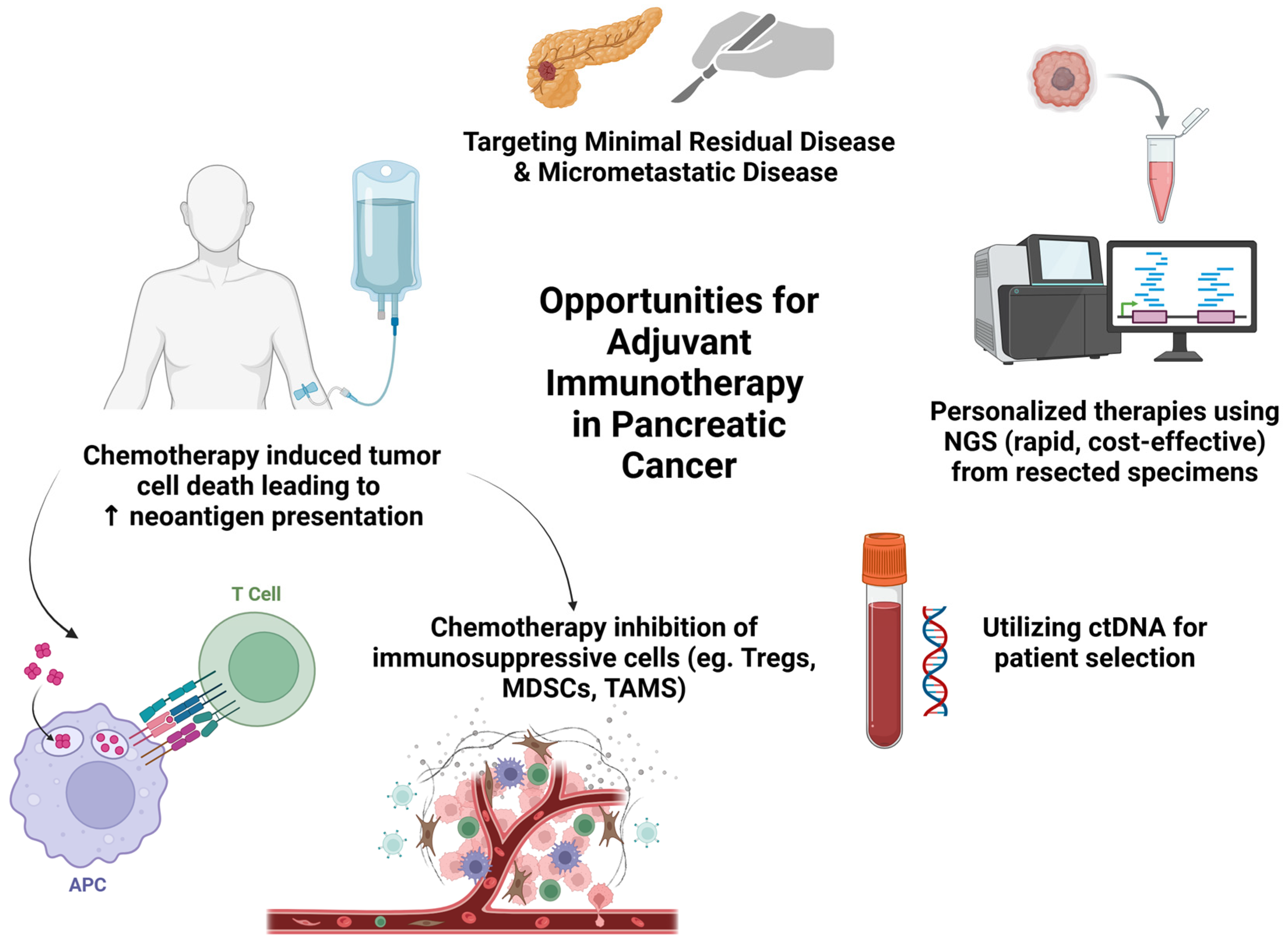 Cancers 17 01246 g001
