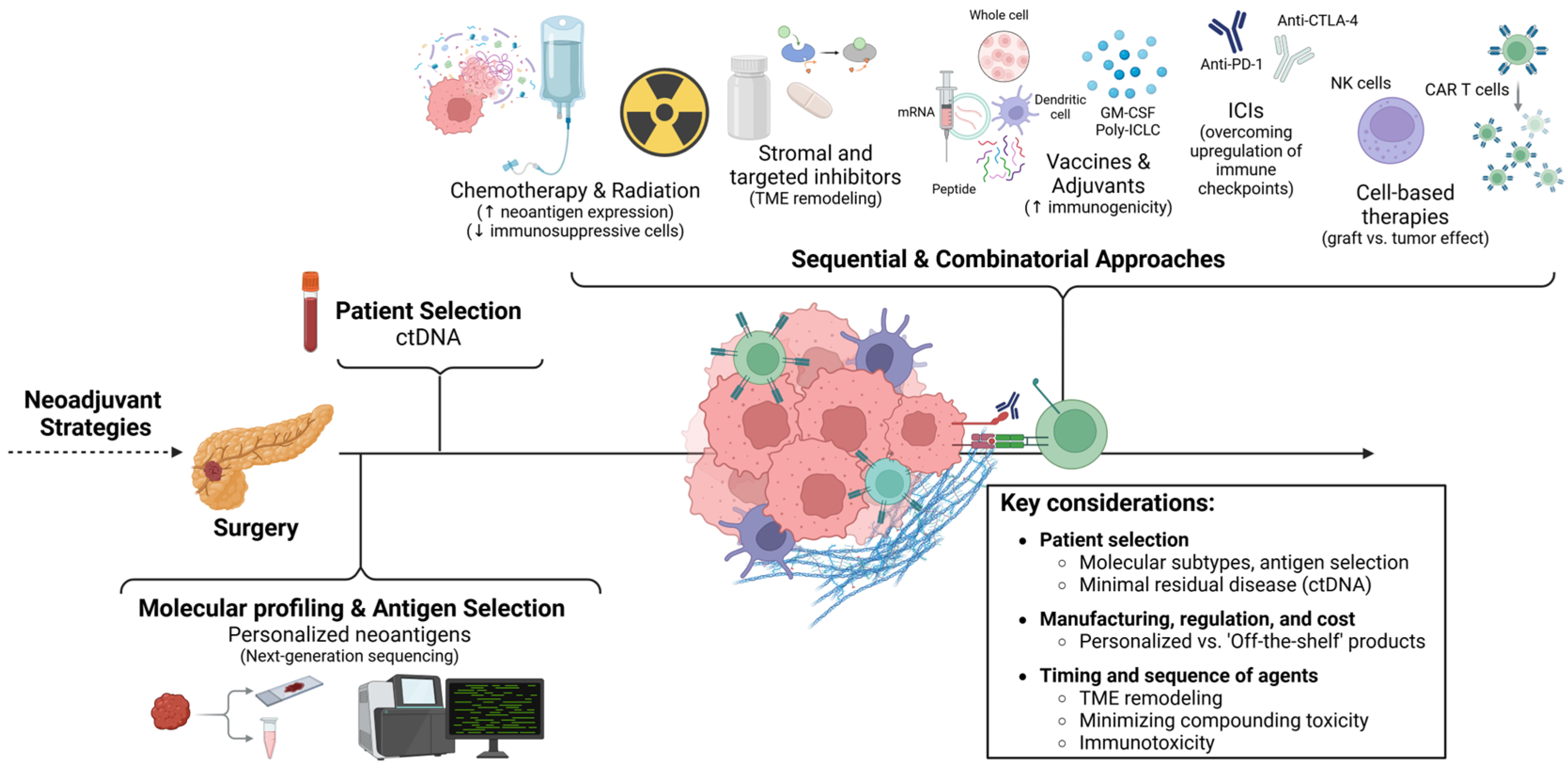 Cancers 17 01246 g002